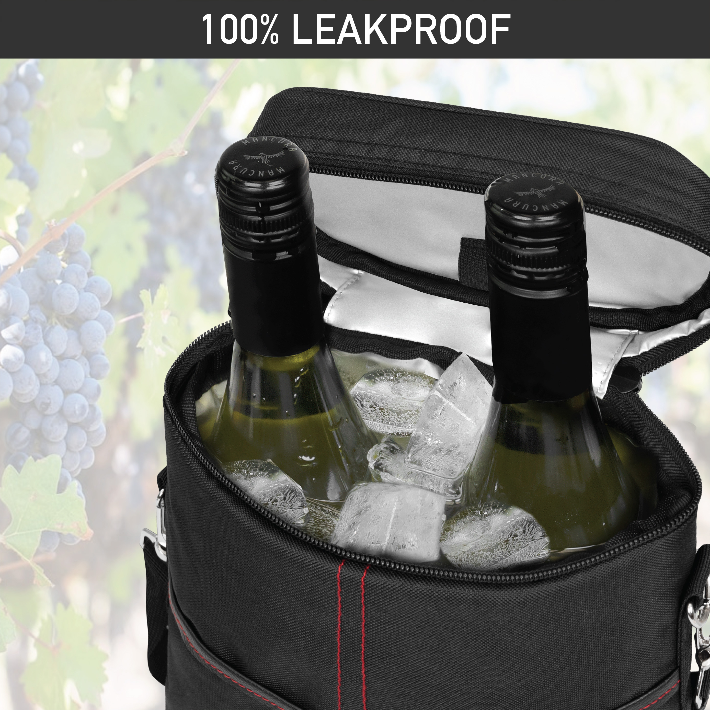 Insulated Wine Carrier Tote Bag Two 2 Bottle Padded Cooler Bag Travel Protection - Picture 6 of 85