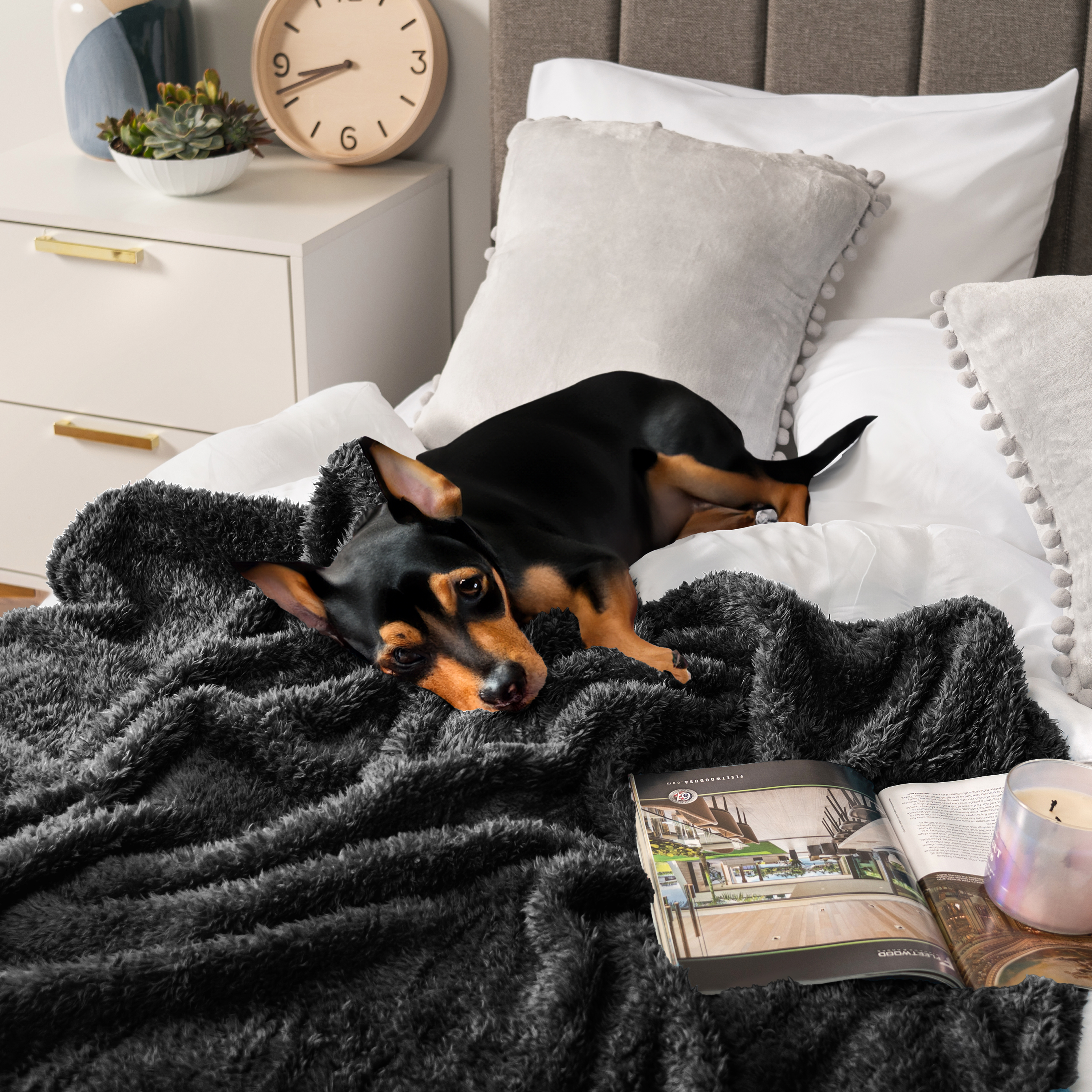 Super Soft Blanket Lightweight Sherpa Fleece Warm Fluffy Throws Couch Sofa Bed - Picture 8 of 169
