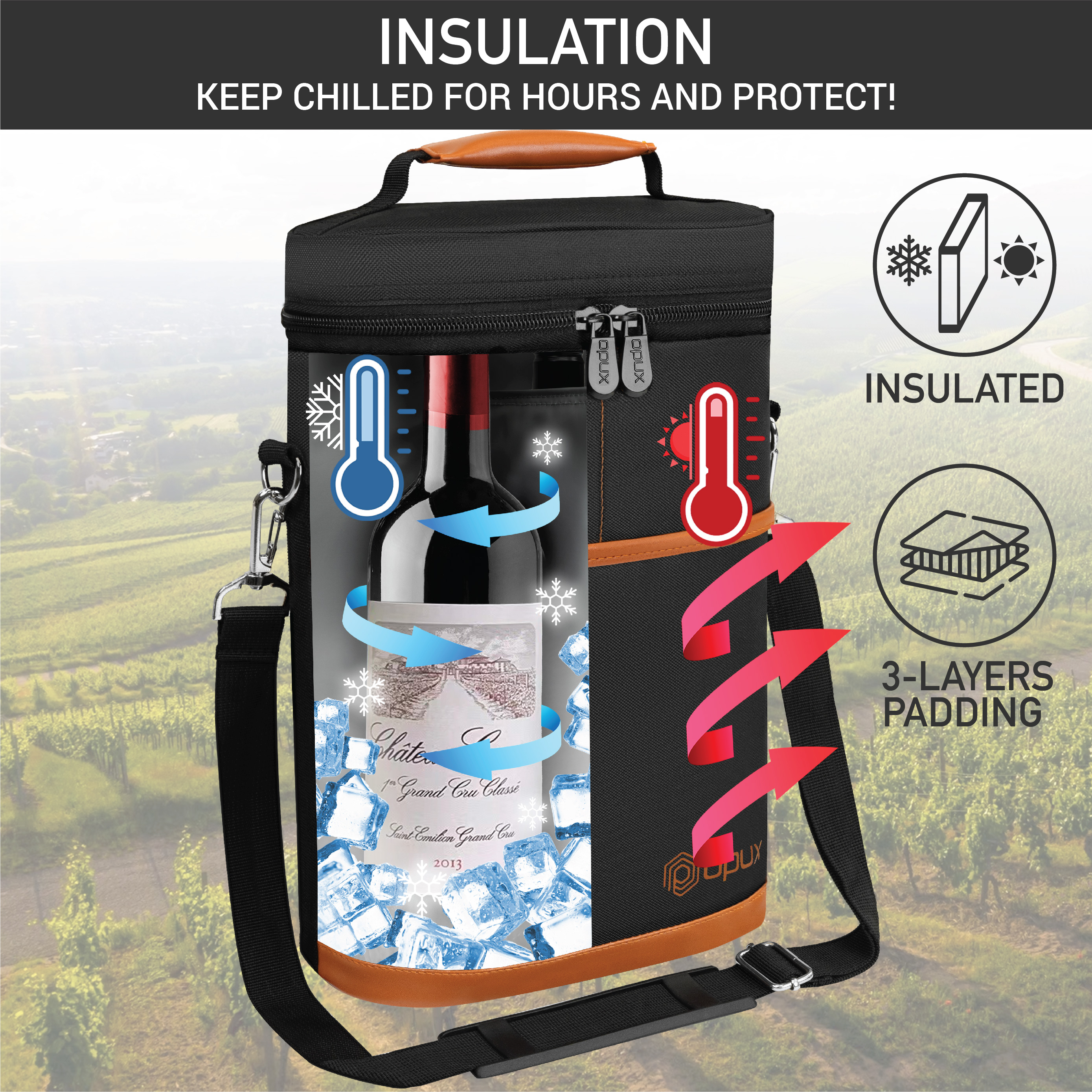 Insulated Wine Carrier Tote Bag Two 2 Bottle Padded Cooler Bag Travel Protection - Picture 12 of 85