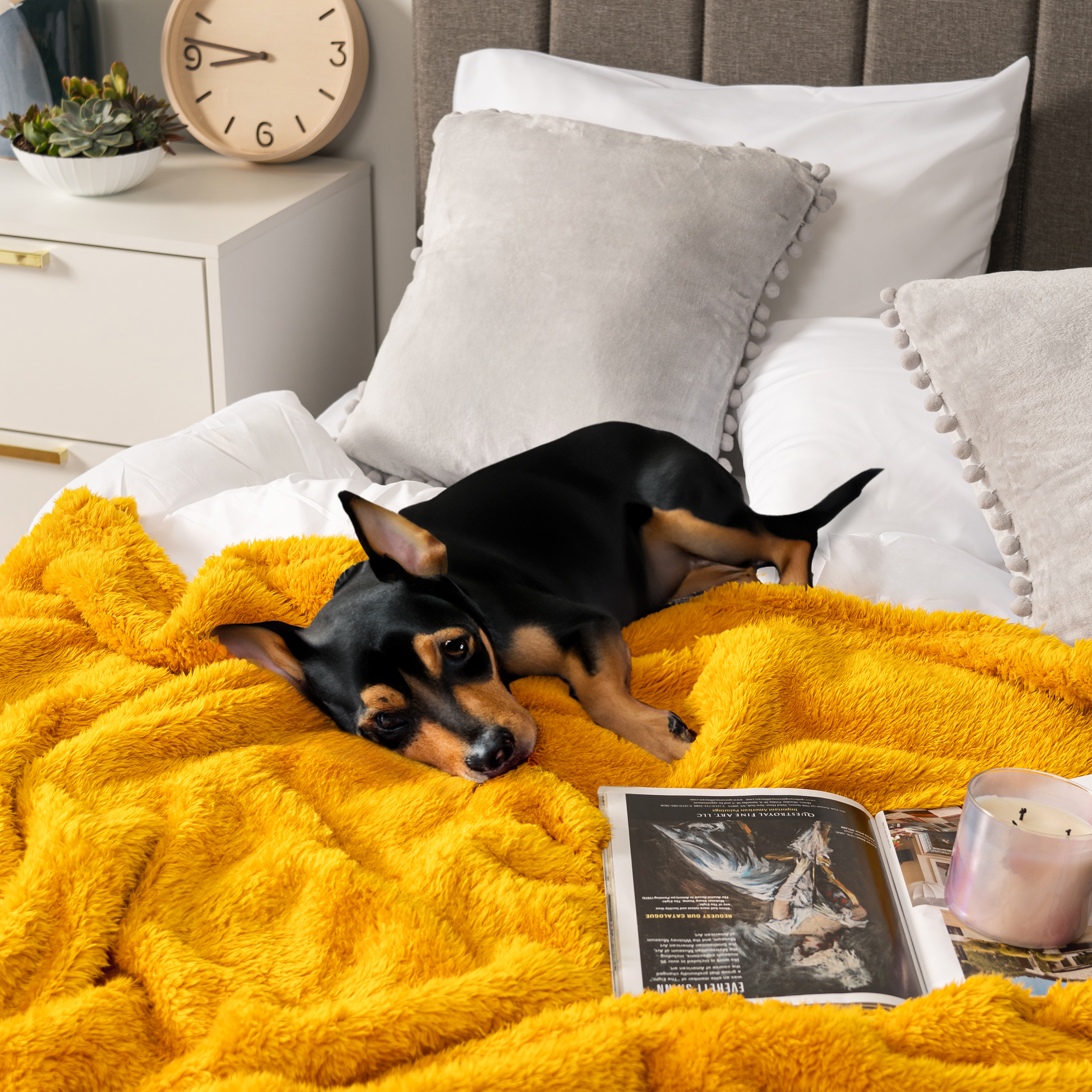 Super Soft Blanket Lightweight Sherpa Fleece Warm Fluffy Throws Couch Sofa Bed - Picture 114 of 169