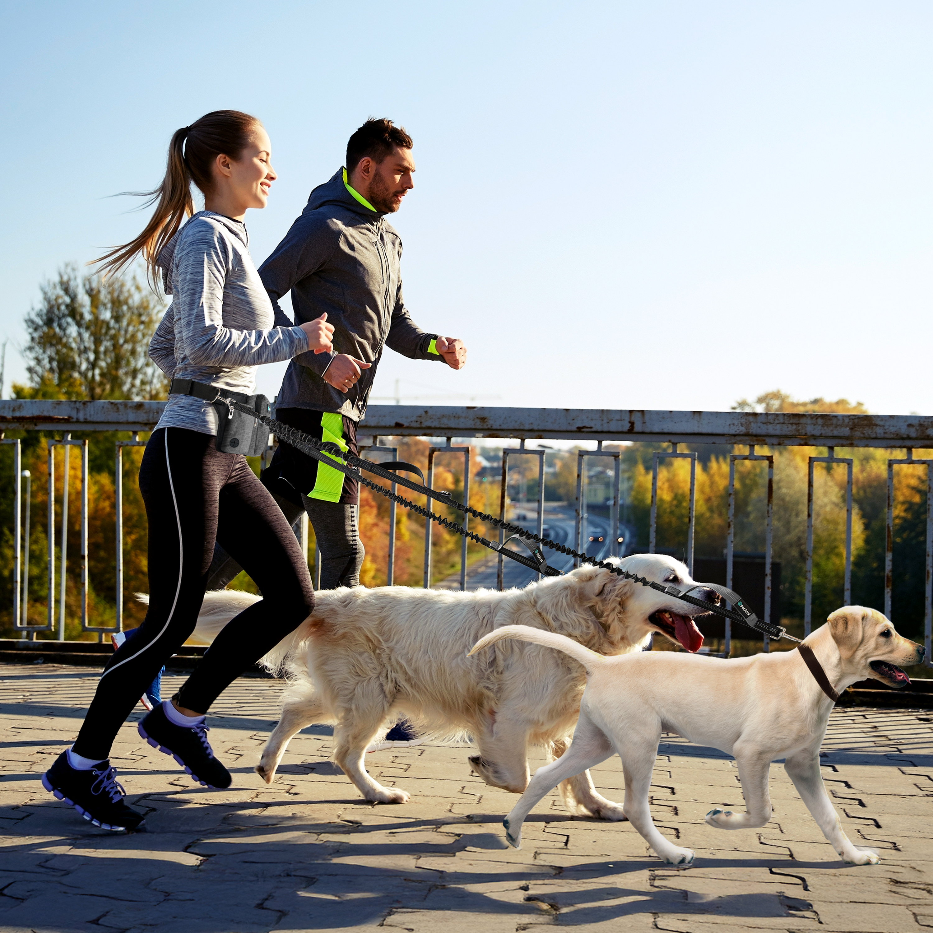 Hands Free Dog Bungee Leash Adjustable Waist Pouch for 2 Dogs Walking Running - Picture 16 of 25