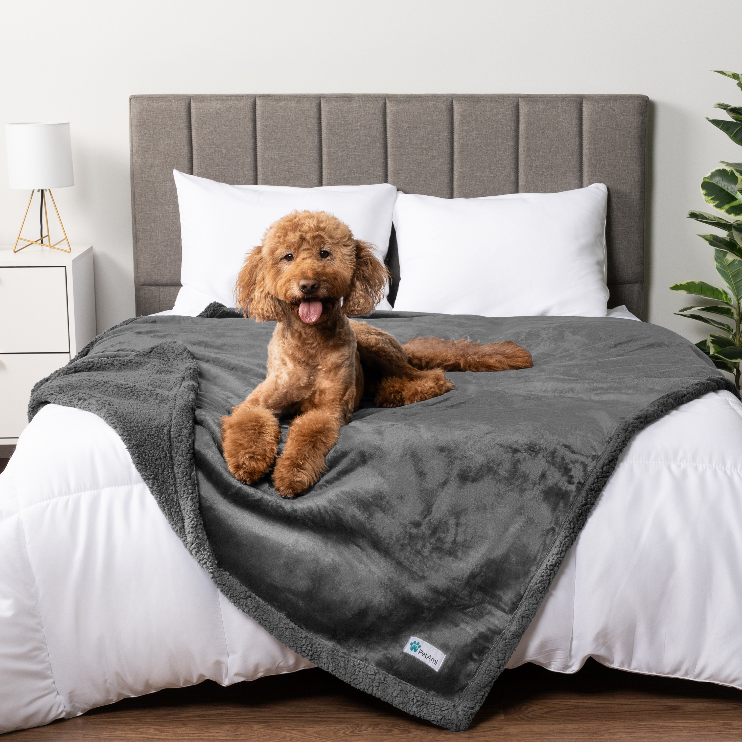 WASSERDICHTE Hundedecke für Haustierbett Couch Möbel Welpe Katze Sherpa Fleece weich - Bild 53 von 146