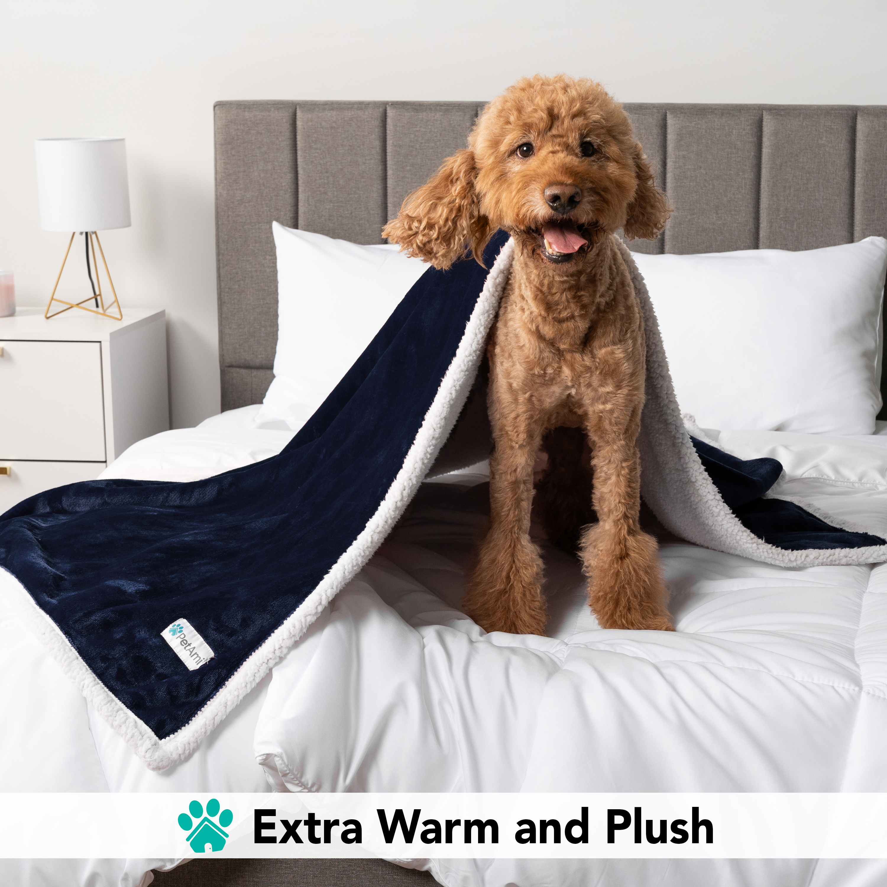 Haustierdecke für kleine mittelgroße Hunde Welpen Katze Kätzchen wendbar weiches Fleece Sherpa - Bild 14 von 70
