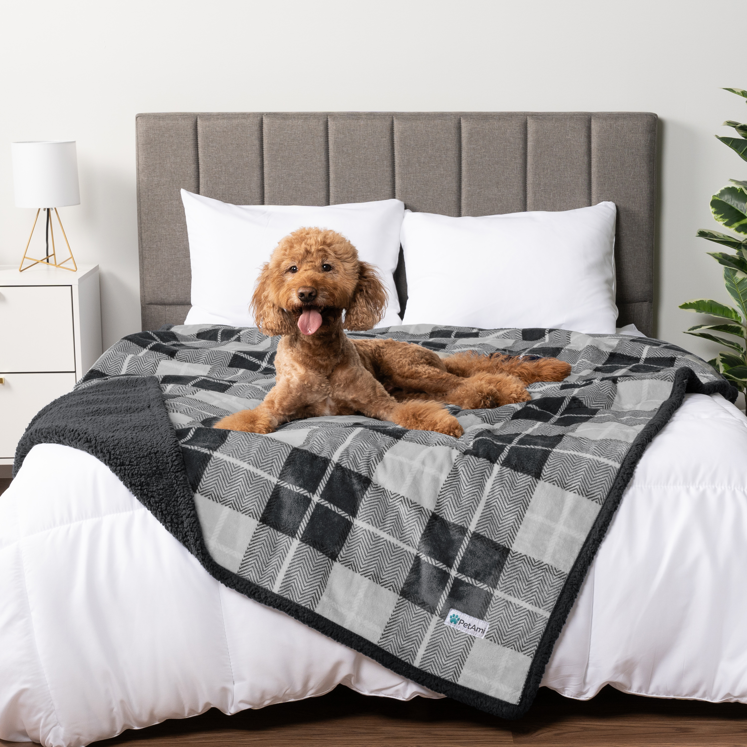 WASSERDICHTE Hundedecke für Haustierbett Couch Möbel Welpe Katze Sherpa Fleece weich - Bild 81 von 146