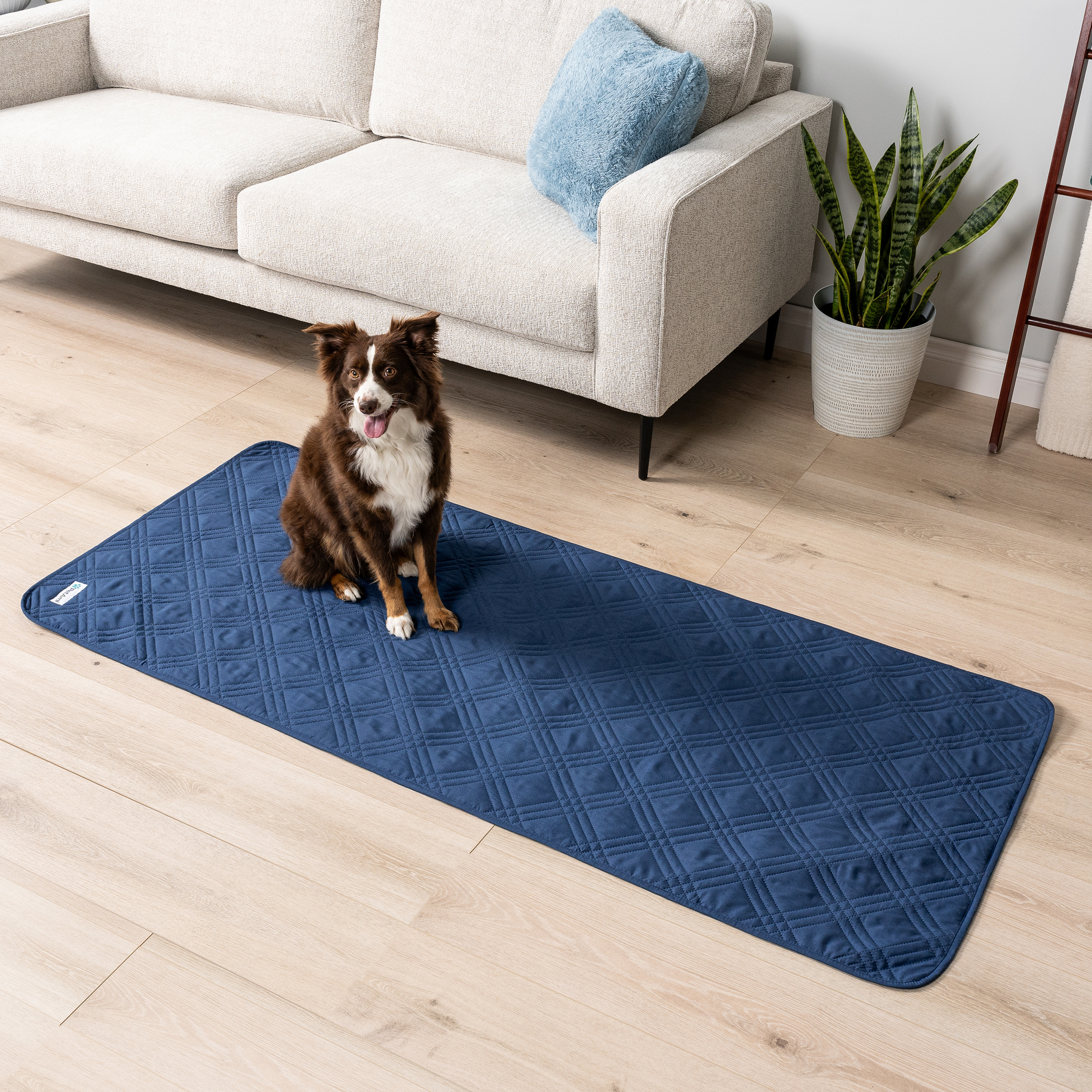 WATERPROOF Couch Cover for Dog Pet Furniture Cover for Sofa Bed Dog Blanket - Produktbild 8