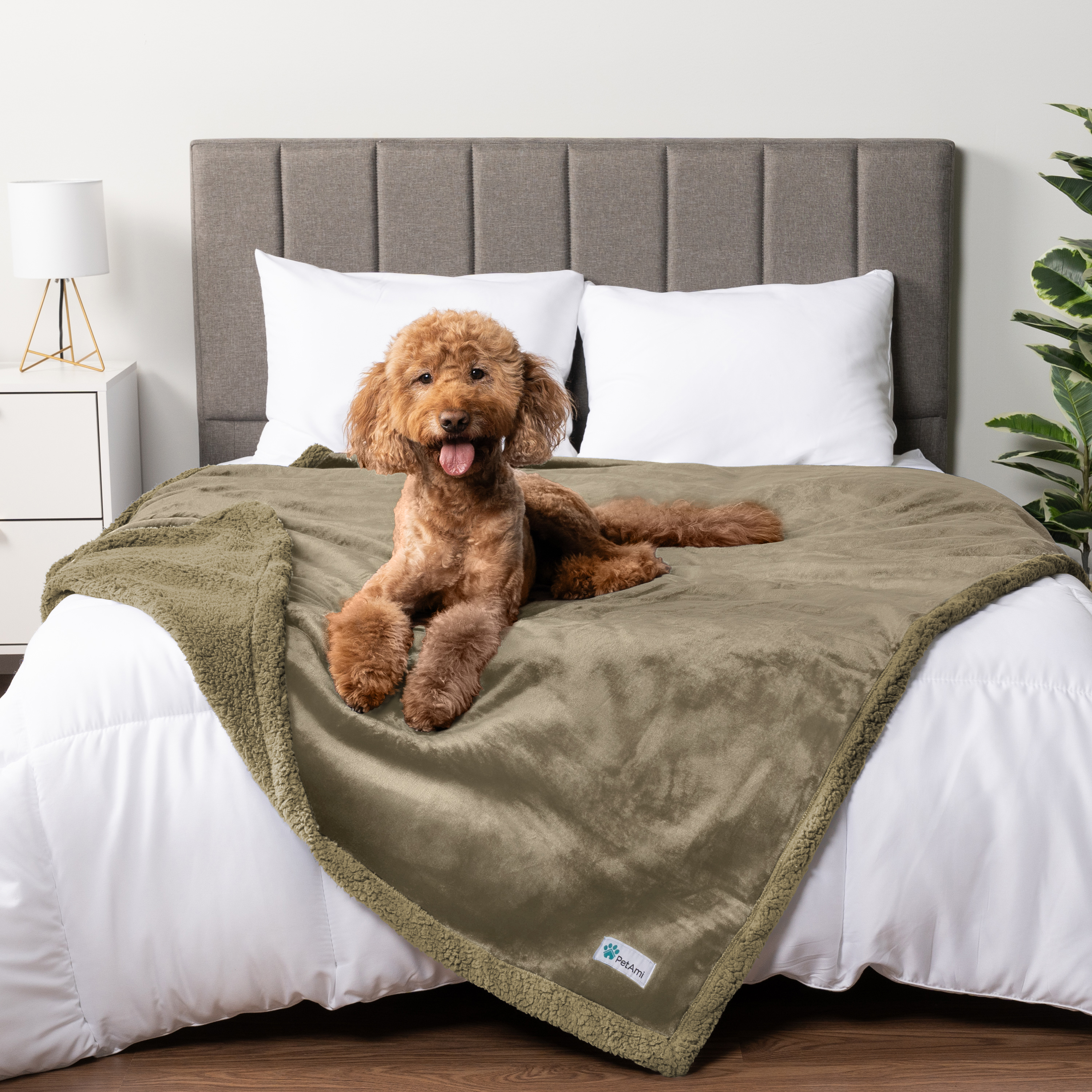 WASSERDICHTE Hundedecke für Haustierbett Couch Möbel Welpe Katze Sherpa Fleece weich - Bild 130 von 146