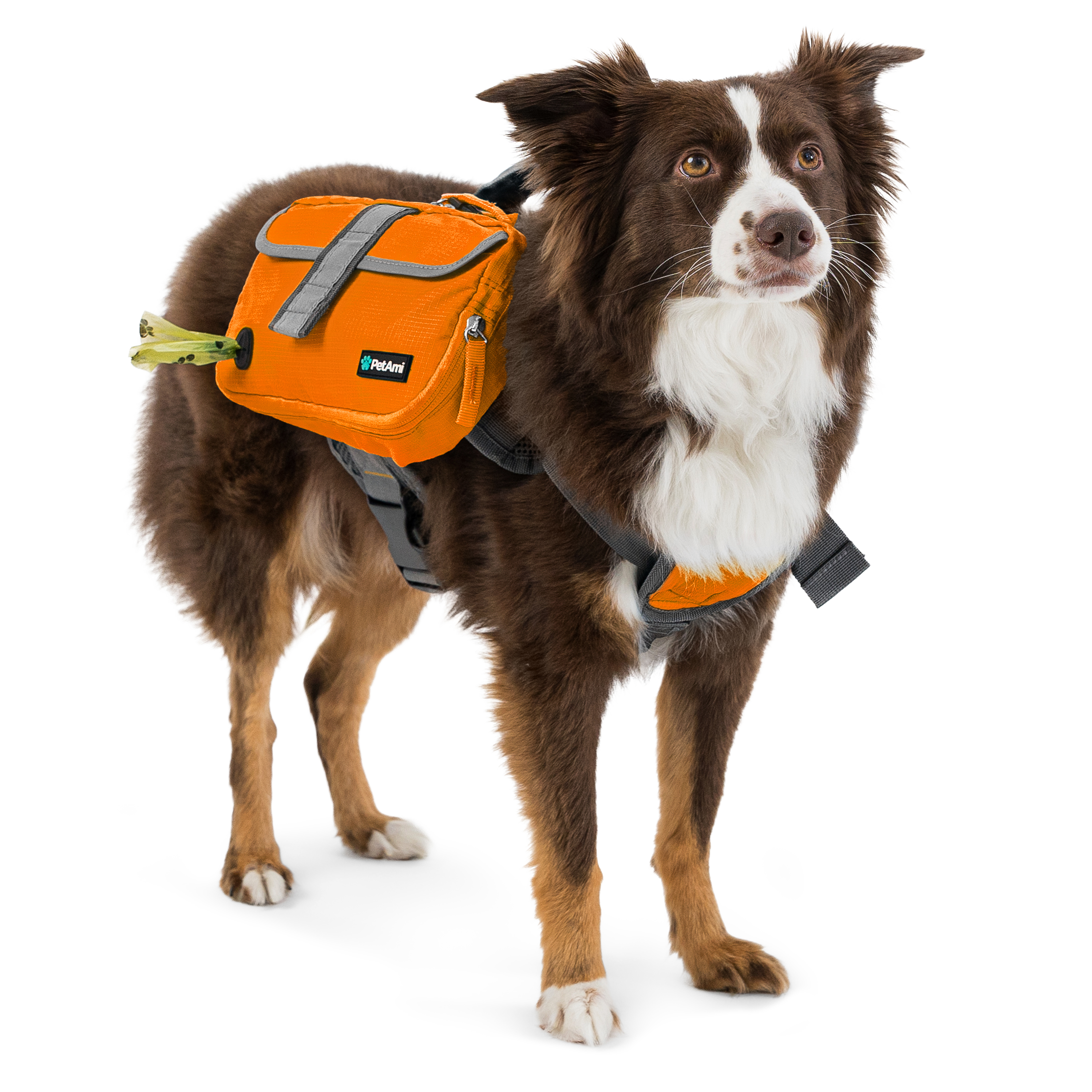 Dog Harness Backpack for Medium Large Dogs Hiking Pet Backpack Saddle Bag Pack Dog Harness Backpack for Medium Large Dogs Hiking Pet Backpack Saddle Bag Pack