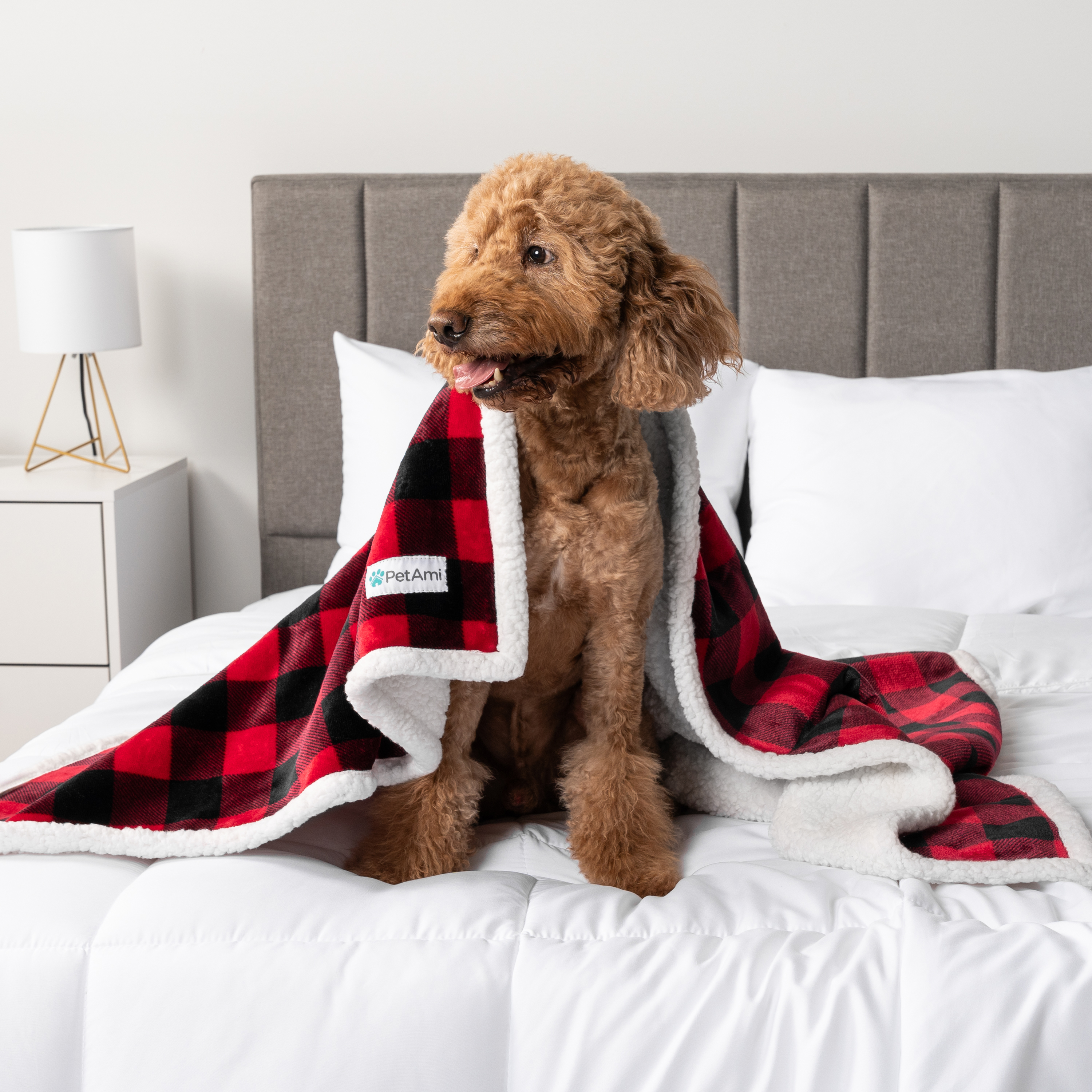 WASSERDICHTE Hundedecke für Haustierbett Couch Möbel Welpe Katze Sherpa Fleece weich - Bild 47 von 146