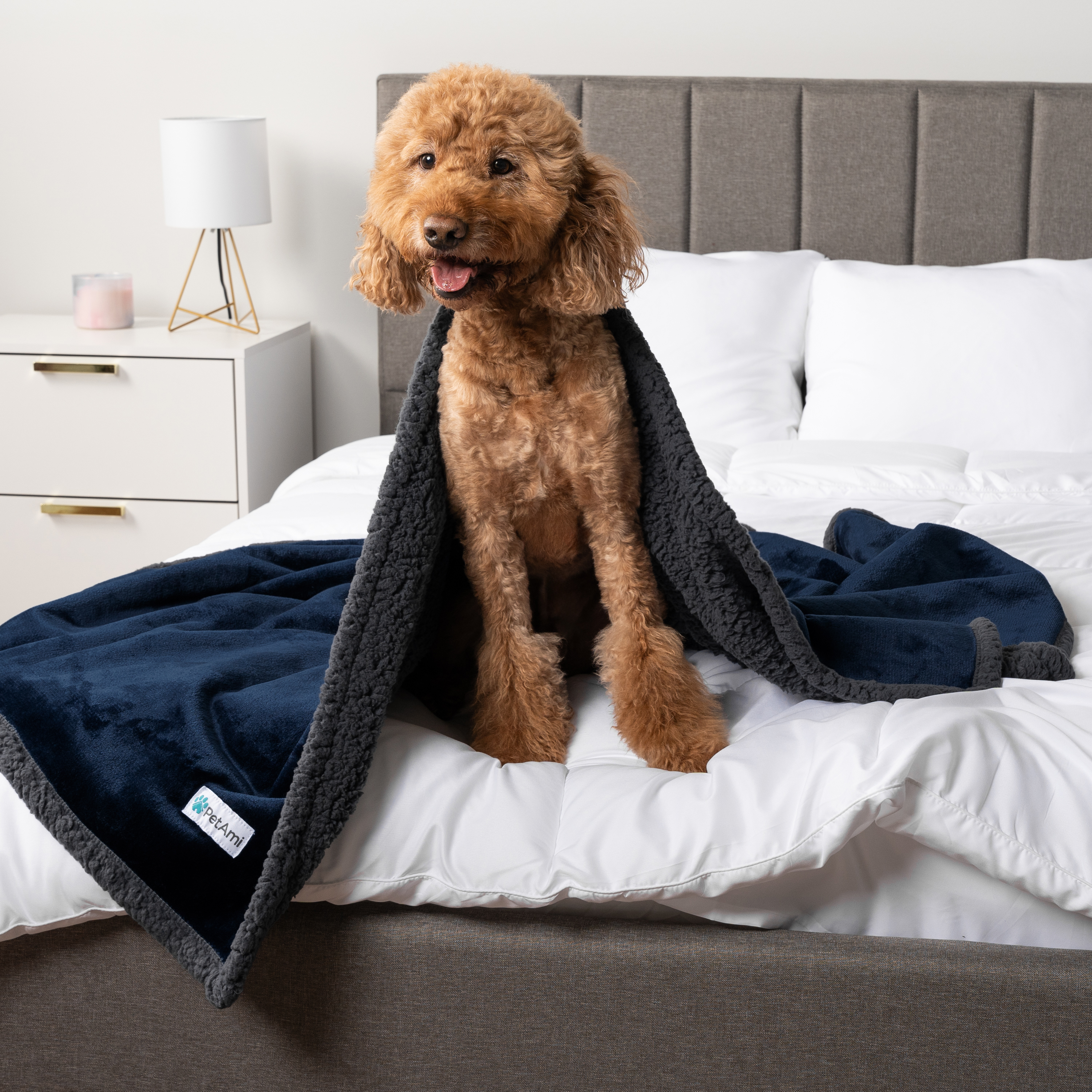 WASSERDICHTE Hundedecke für Haustierbett Couch Möbel Welpe Katze Sherpa Fleece weich - Bild 74 von 146