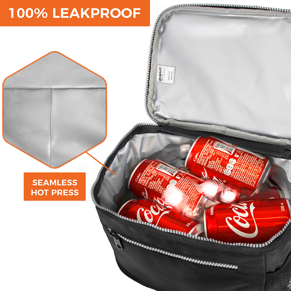 Impermeable refrigeración bolso lunchtasche aislado cenizas hieleras mini diariamente bolsas Bag 