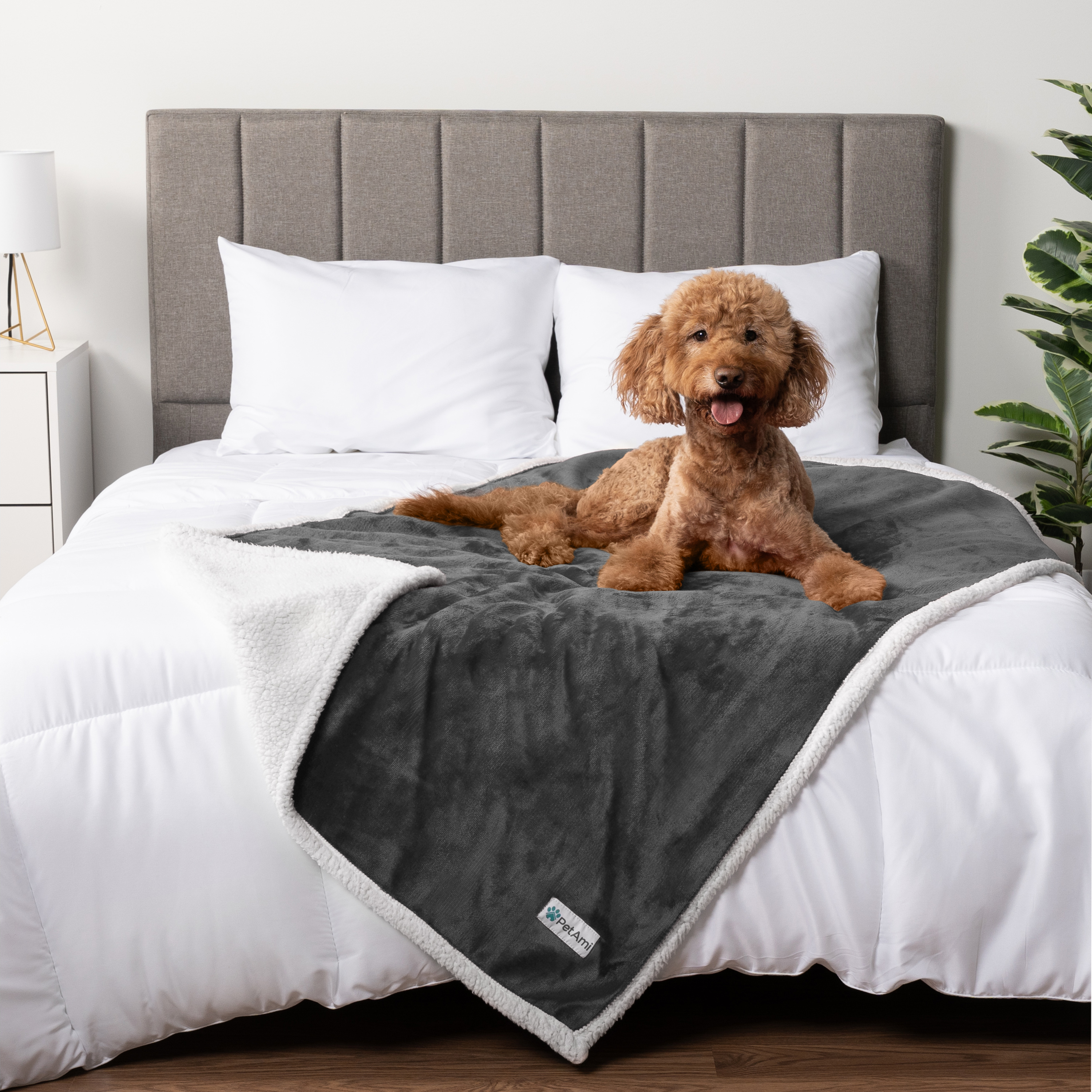 WASSERDICHTE Hundedecke für Haustierbett Couch Möbel Welpe Katze Sherpa Fleece weich - Bild 36 von 146