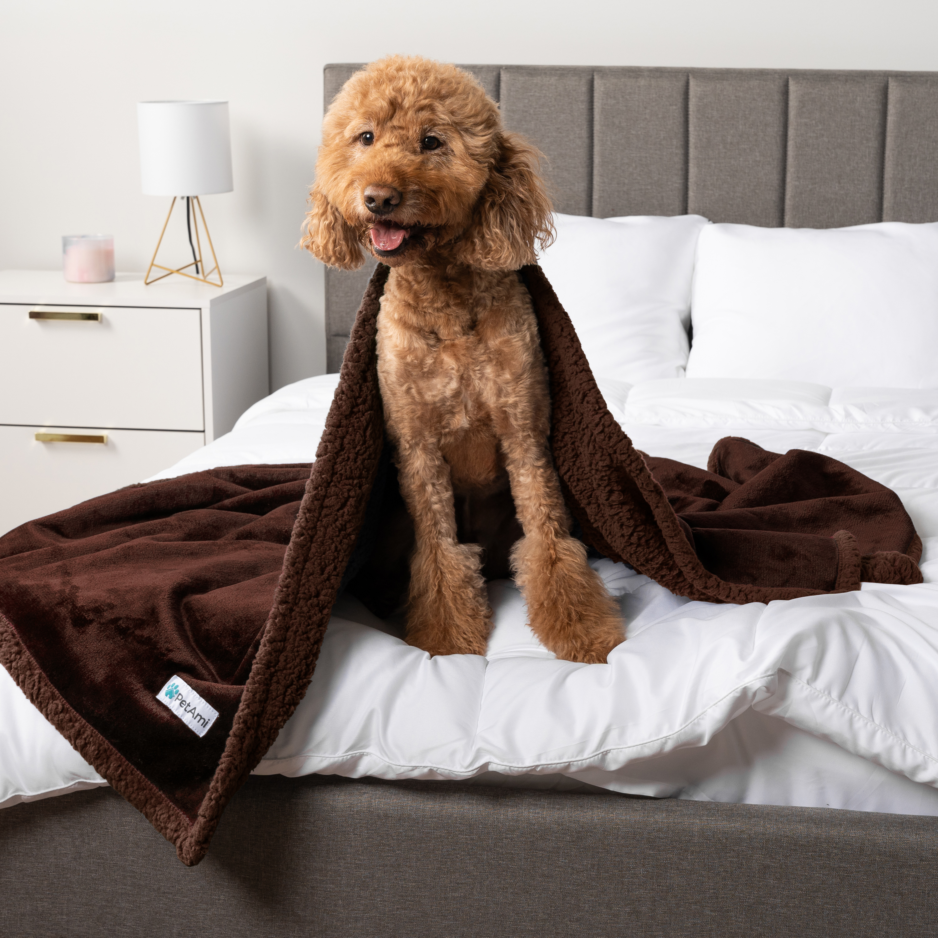 WASSERDICHTE Hundedecke für Haustierbett Couch Möbel Welpe Katze Sherpa Fleece weich - Bild 29 von 146