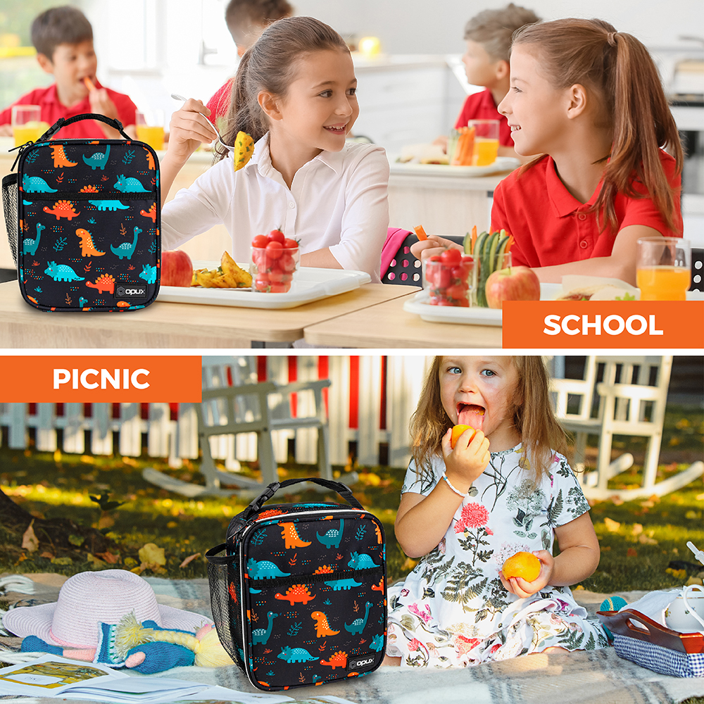 Insulated Lunch Bag For Kids Work School Adults Meal Bento Mini Soft Cooler Tote