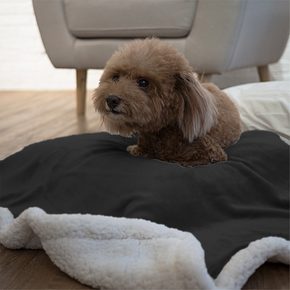 IMPERMEABLE Manta Perro Mascota Tiro para Sofá Proteger Muebles S M L Perro Gato Cachorro - Imagen 65 de 180