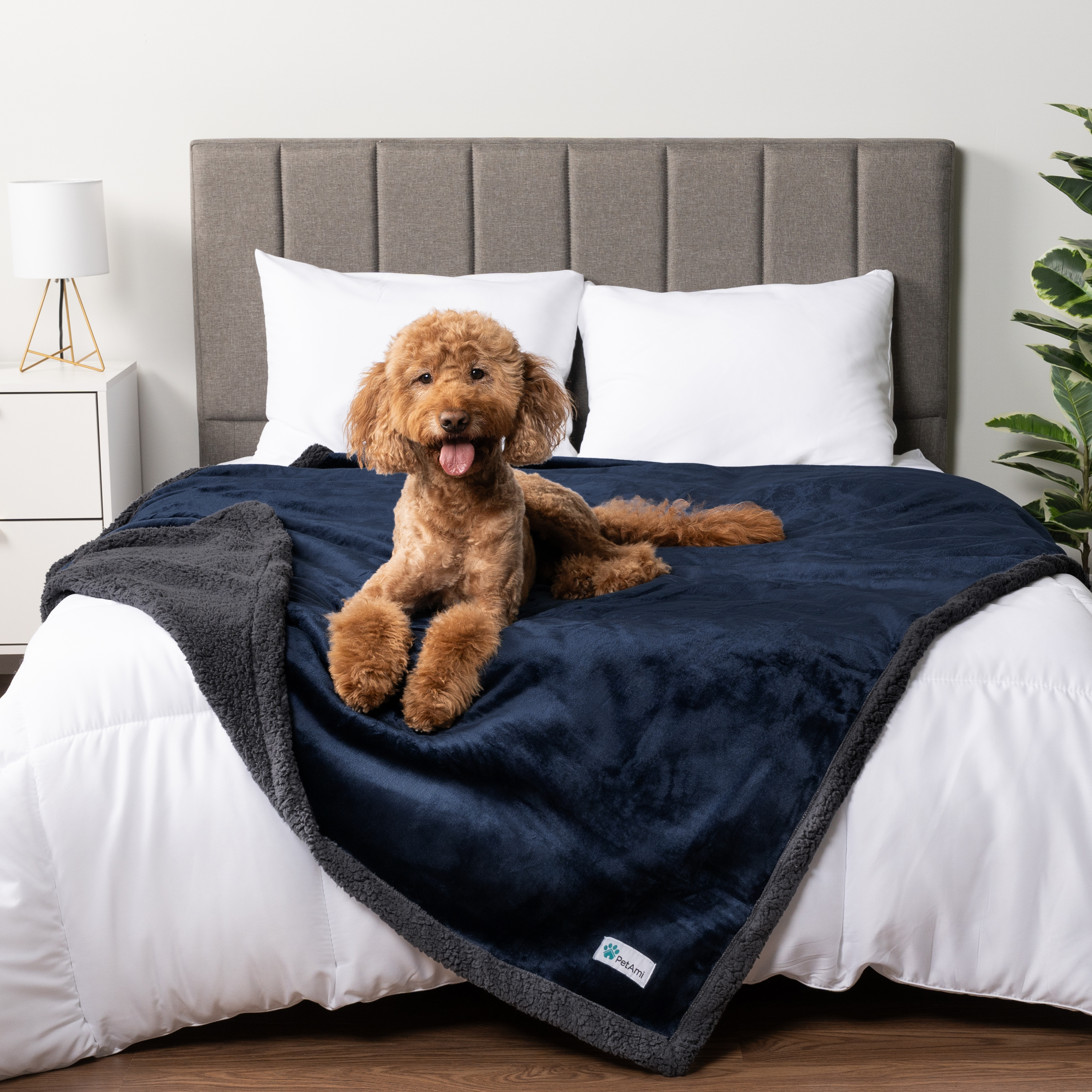 WASSERDICHTE Hundedecke für Haustierbett Couch Möbel Welpe Katze Sherpa Fleece weich - Bild 72 von 146