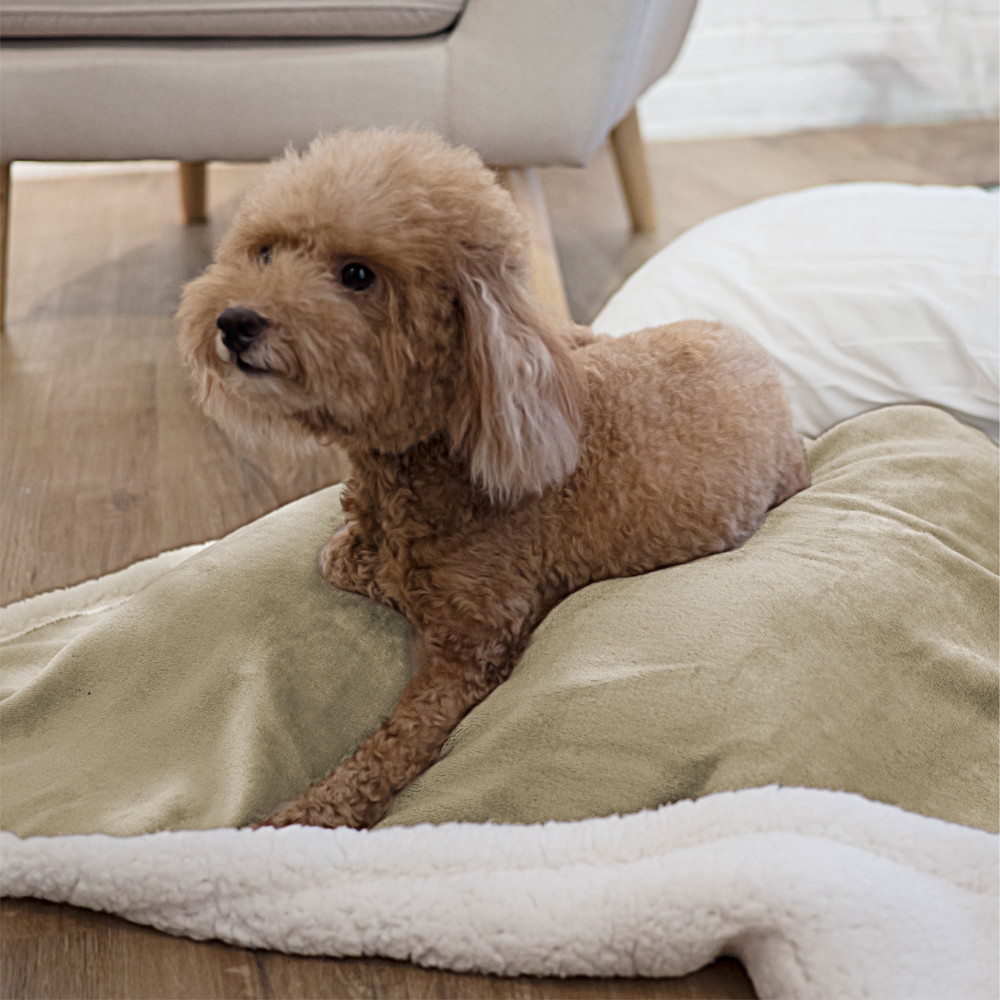 IMPERMEABLE Manta Perro Mascota Tiro para Sofá Proteger Muebles S M L Perro Gato Cachorro - Imagen 161 de 180