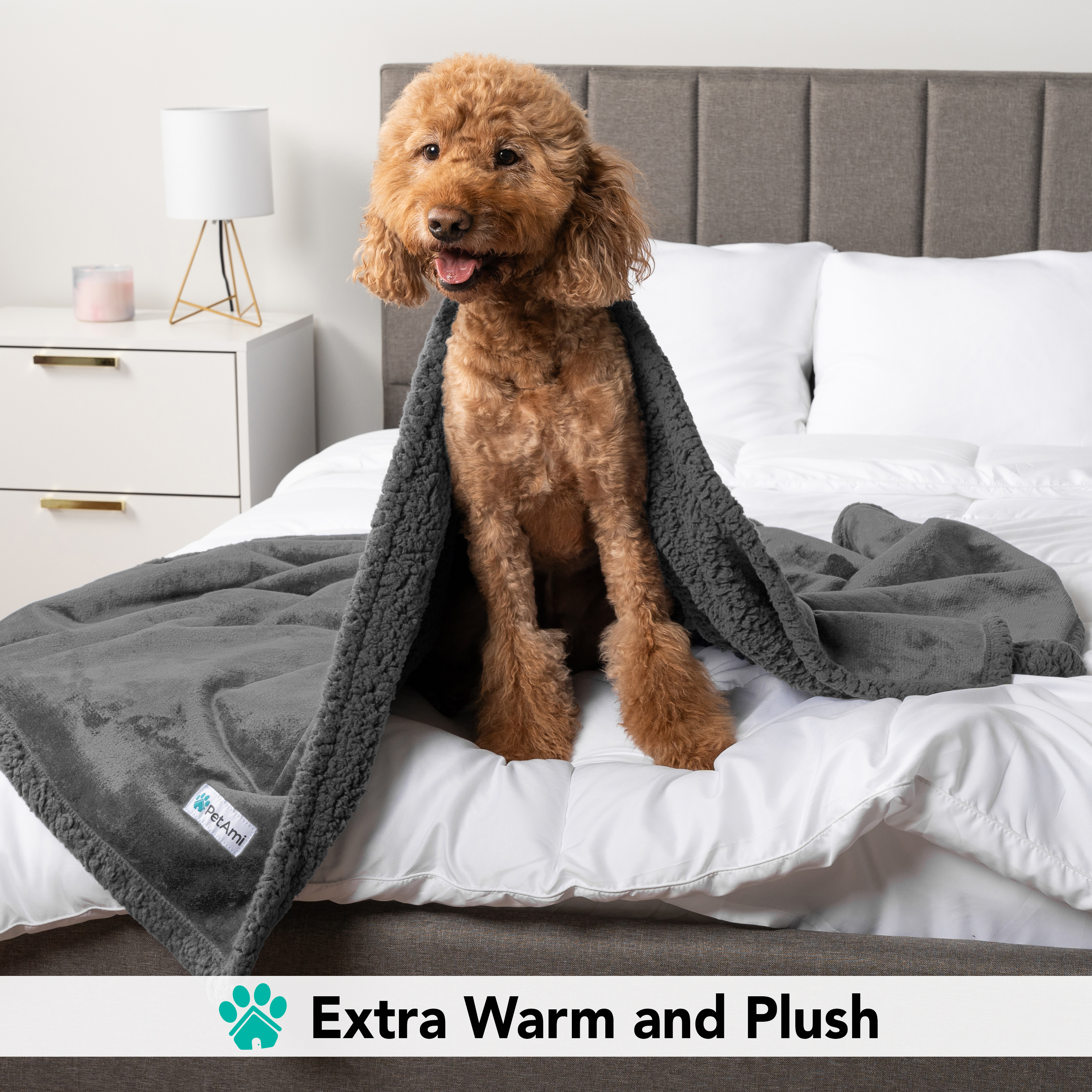Haustierdecke für kleine mittelgroße Hunde Welpen Katze Kätzchen wendbar weiches Fleece Sherpa - Bild 38 von 70