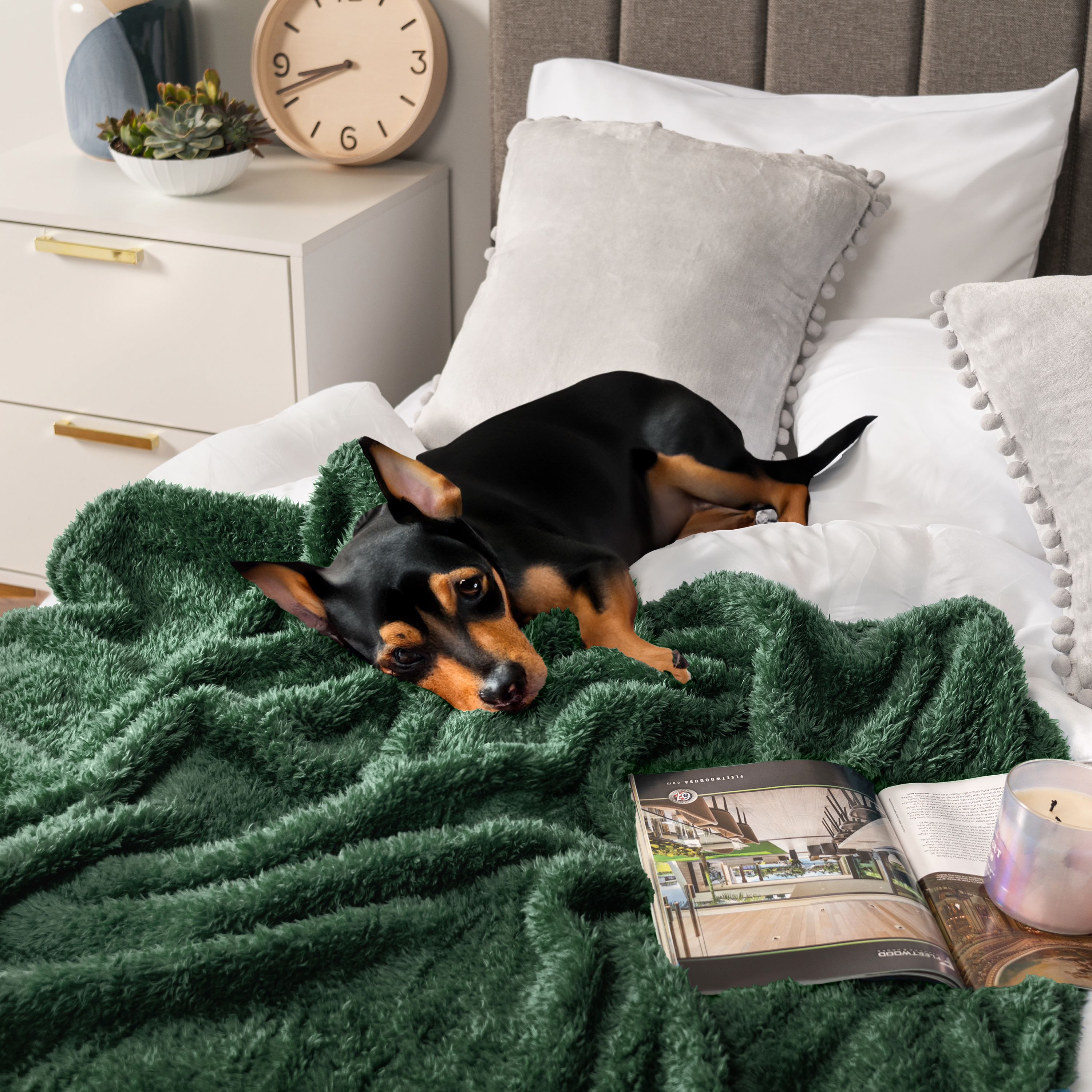 Super Soft Blanket Lightweight Sherpa Fleece Warm Fluffy Throws Couch Sofa Bed - Picture 53 of 169