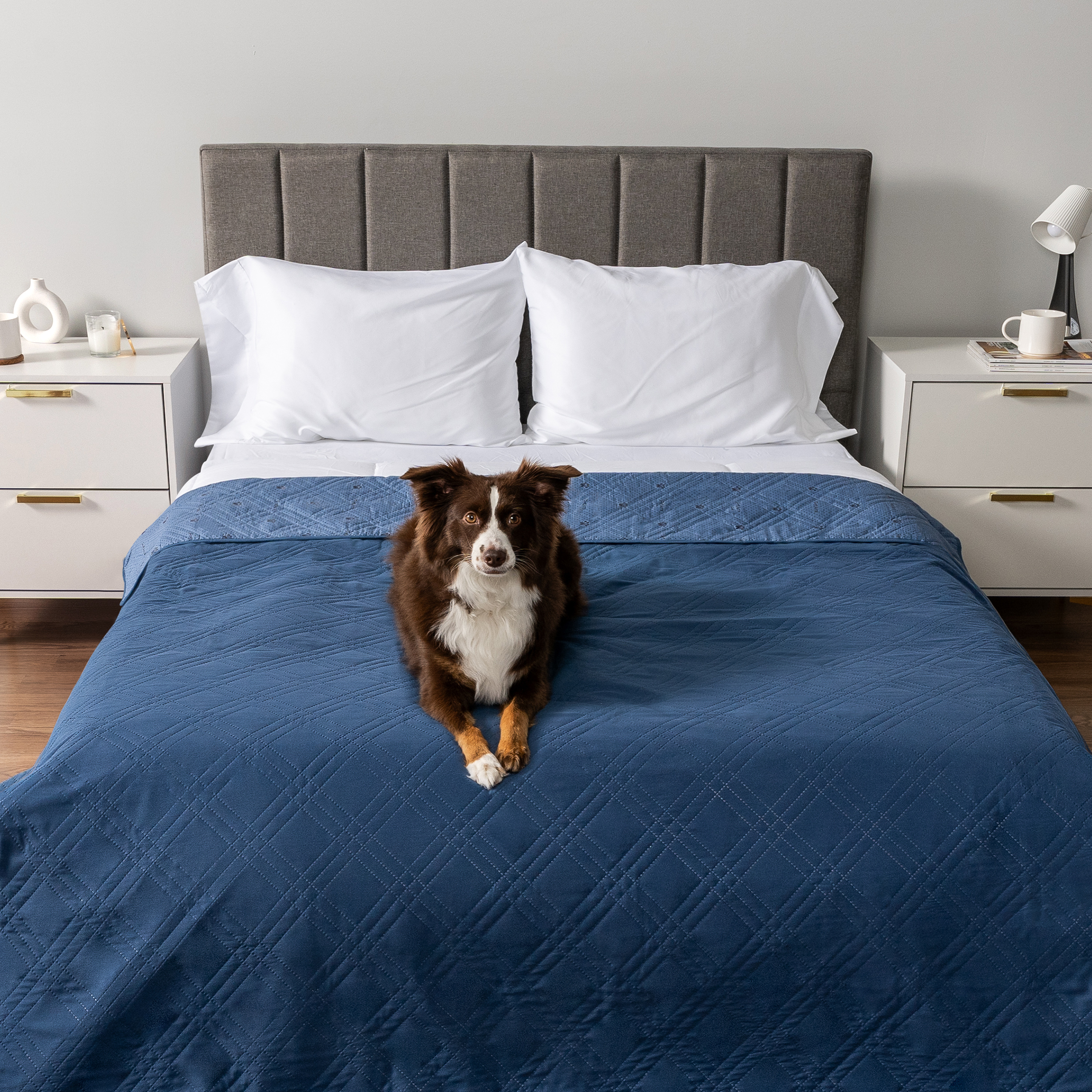 WATERPROOF Couch Cover for Dog Pet Furniture Cover for Sofa Bed Dog Blanket - Produktbild 1