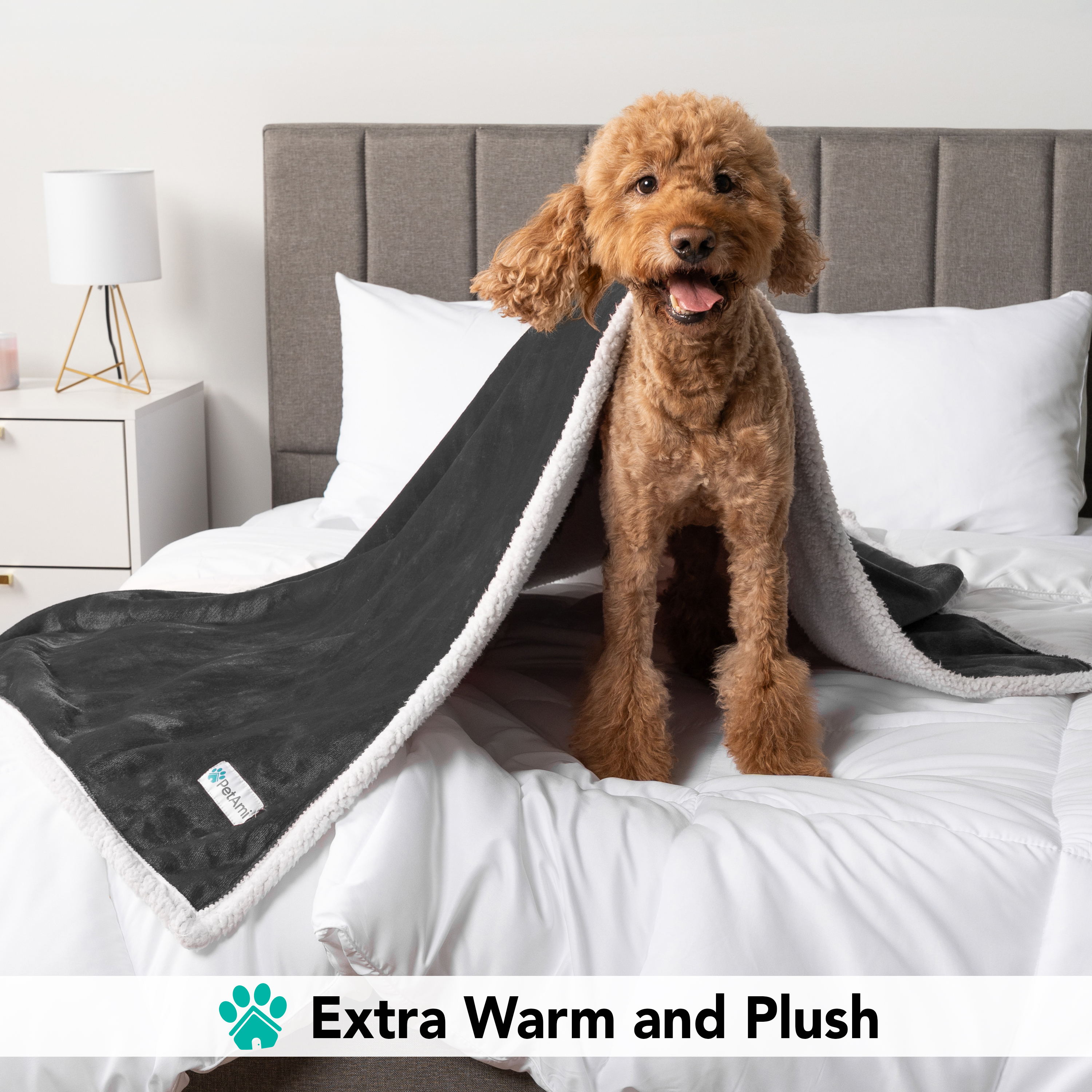 Haustierdecke für kleine mittelgroße Hunde Welpen Katze Kätzchen wendbar weiches Fleece Sherpa - Bild 29 von 70