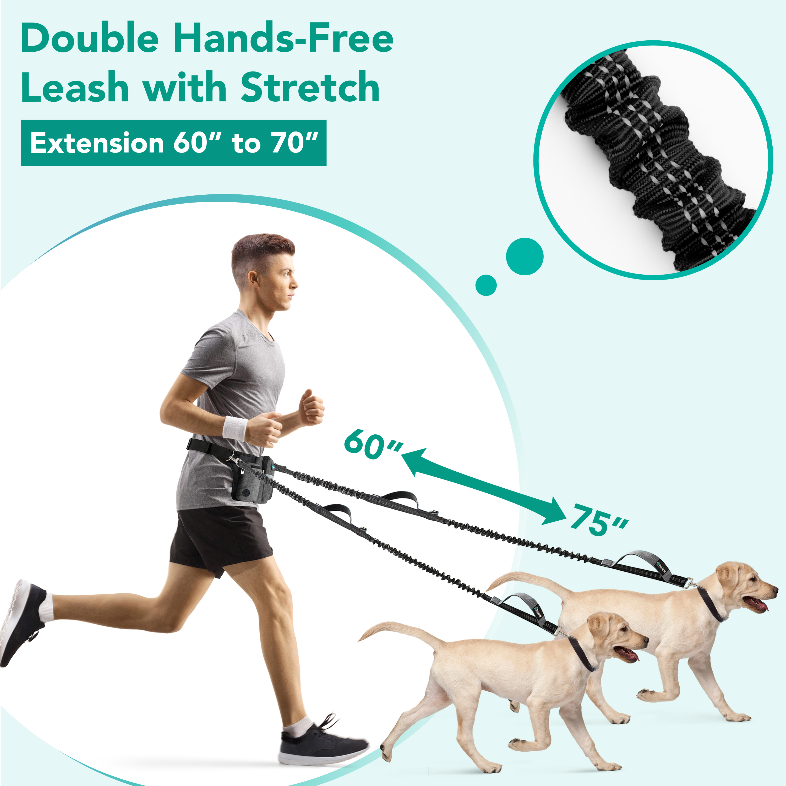Hands Free Dog Bungee Leash Adjustable Waist Pouch for 2 Dogs Walking Running - Picture 11 of 25