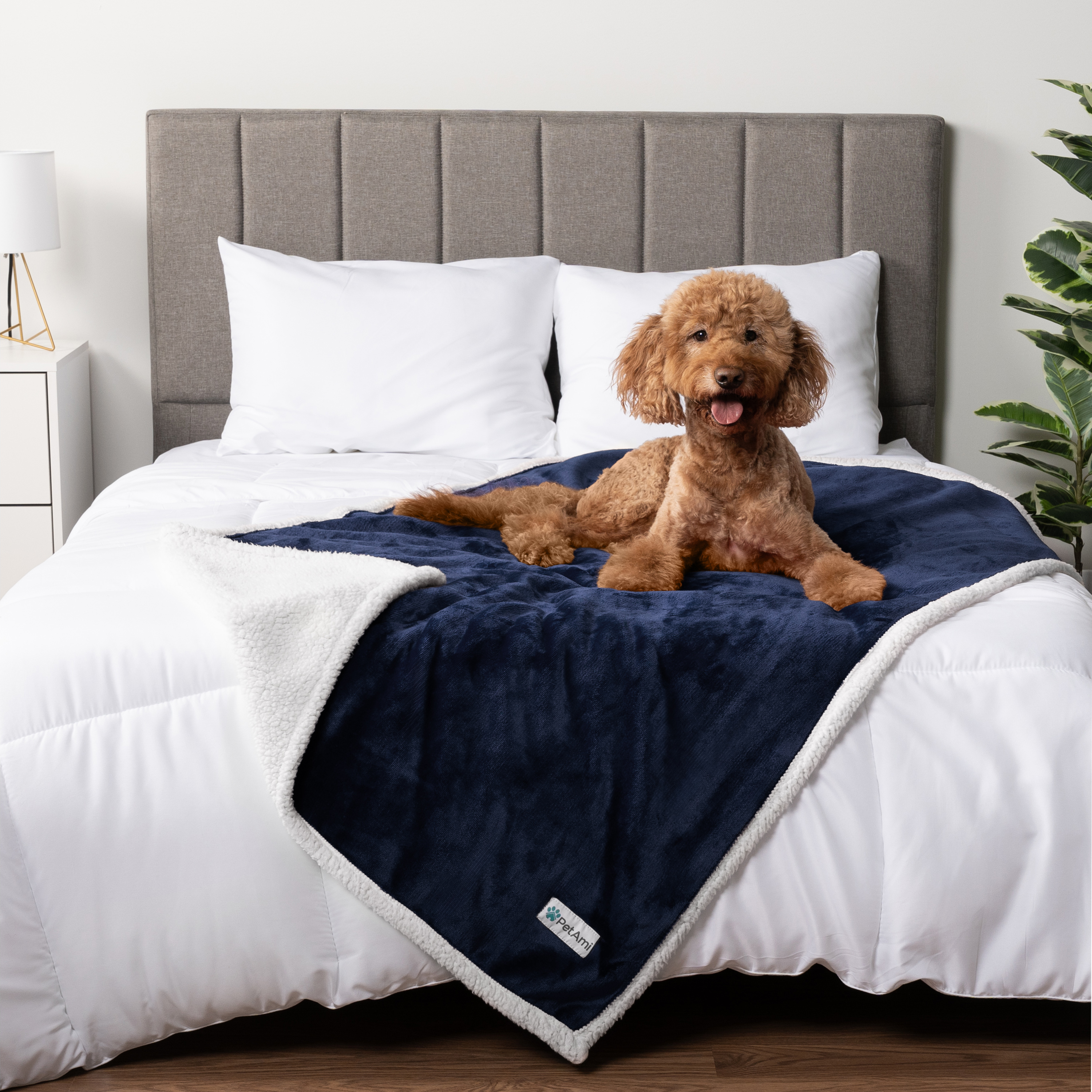 WASSERDICHTE Hundedecke für Haustierbett Couch Möbel Welpe Katze Sherpa Fleece weich - Bild 13 von 146