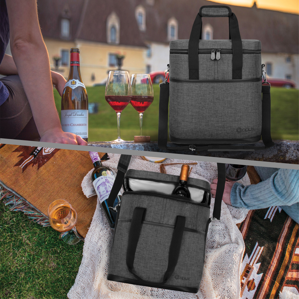 Wine Carrier Tote Bag Insulated 6 Bottle Cooler Carrying Case for ...