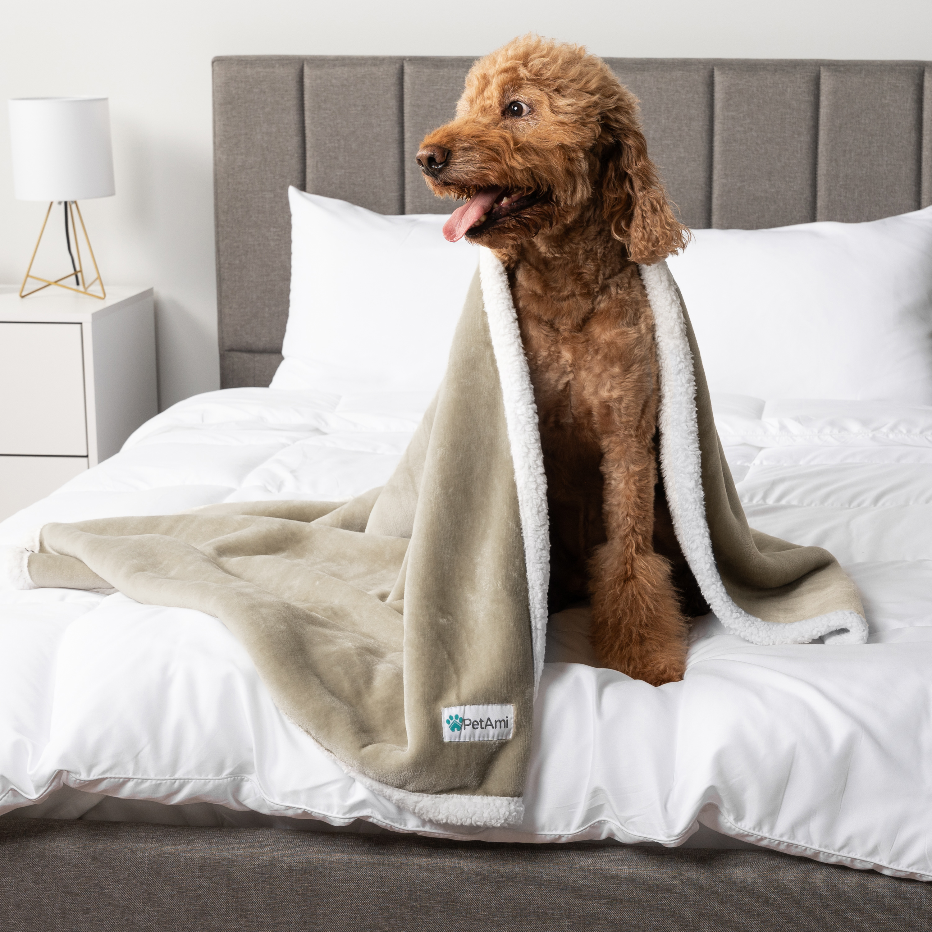 WASSERDICHTE Hundedecke für Haustierbett Couch Möbel Welpe Katze Sherpa Fleece weich - Bild 122 von 146