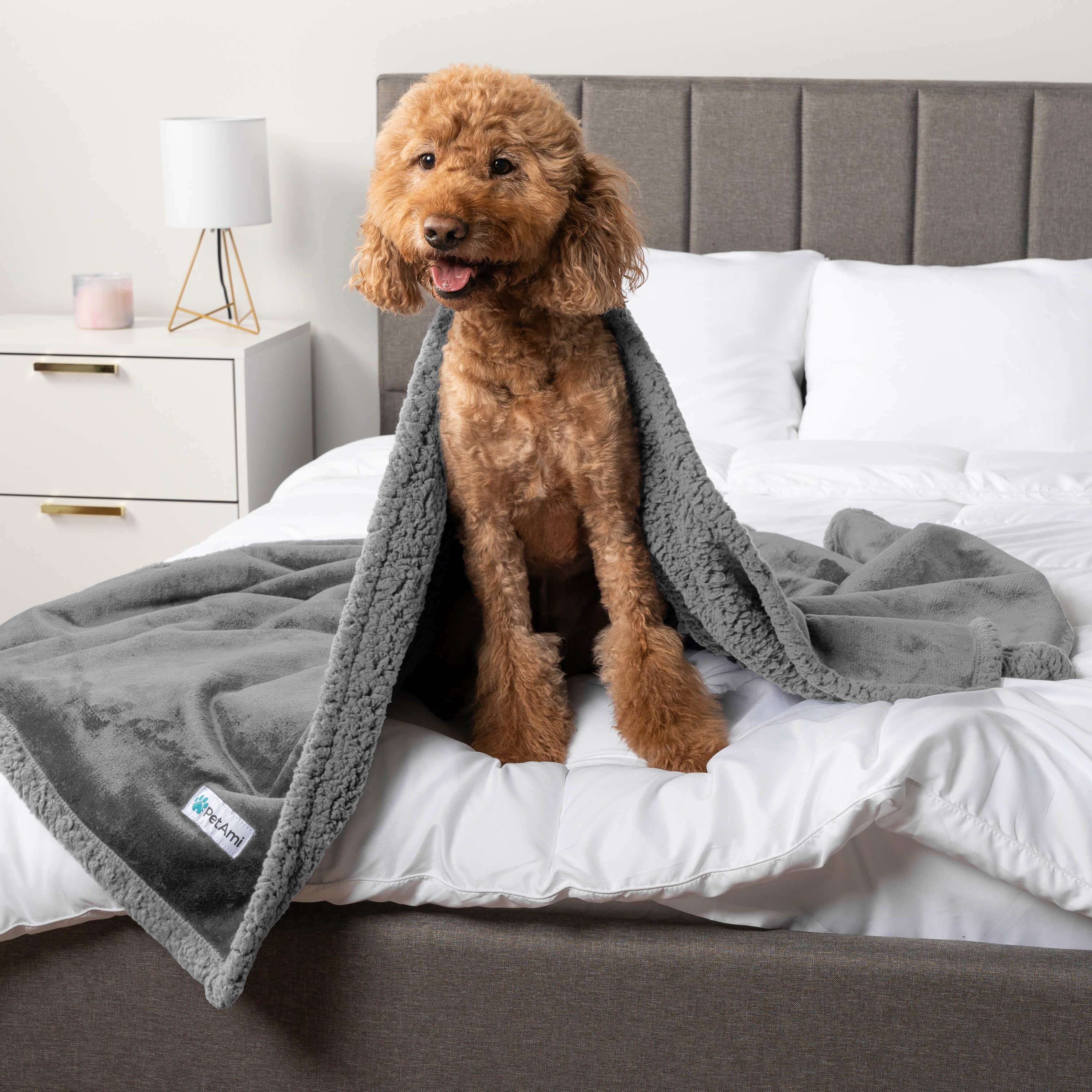 WASSERDICHTE Hundedecke für Haustierbett Couch Möbel Welpe Katze Sherpa Fleece weich - Bild 64 von 146