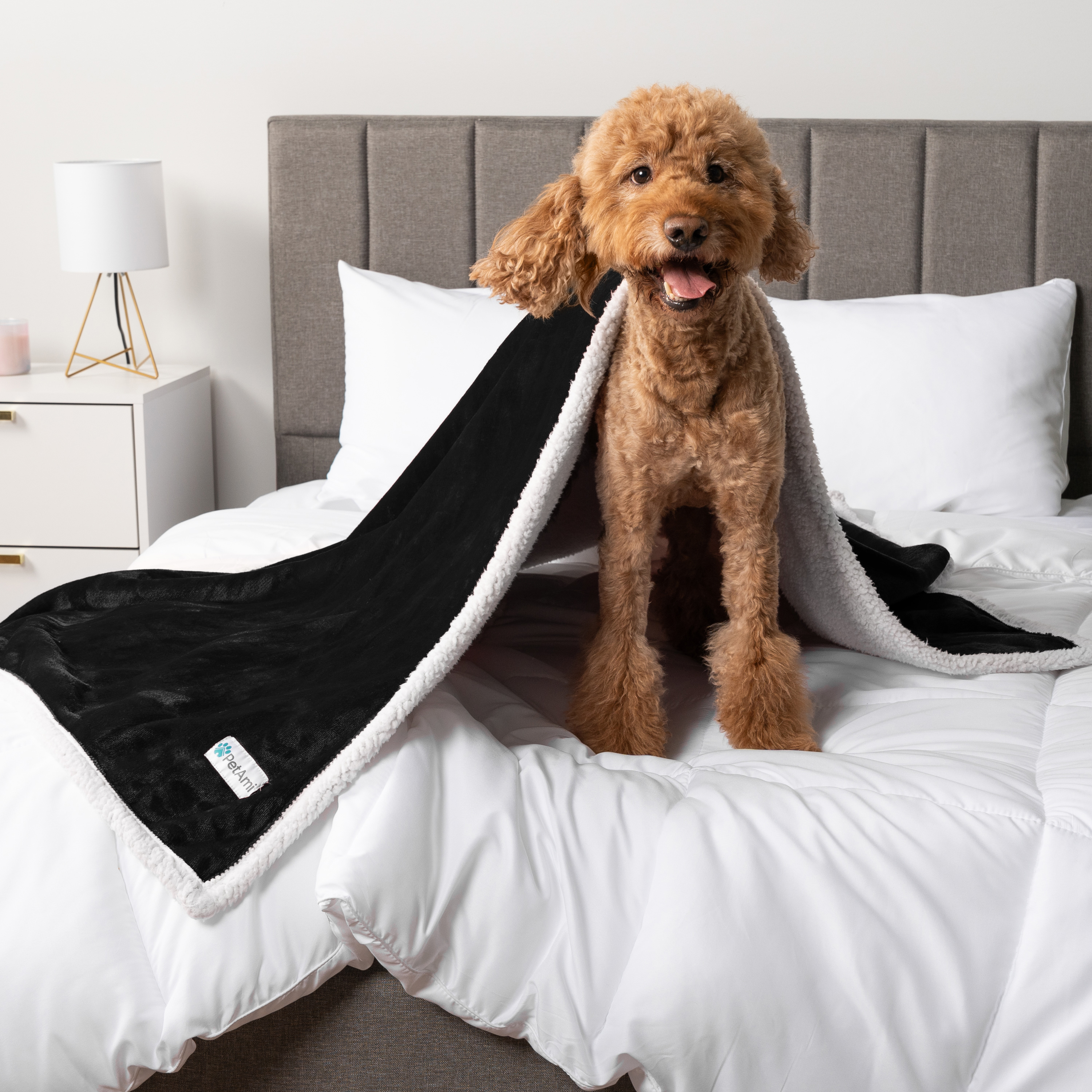 WASSERDICHTE Hundedecke für Haustierbett Couch Möbel Welpe Katze Sherpa Fleece weich - Bild 7 von 146