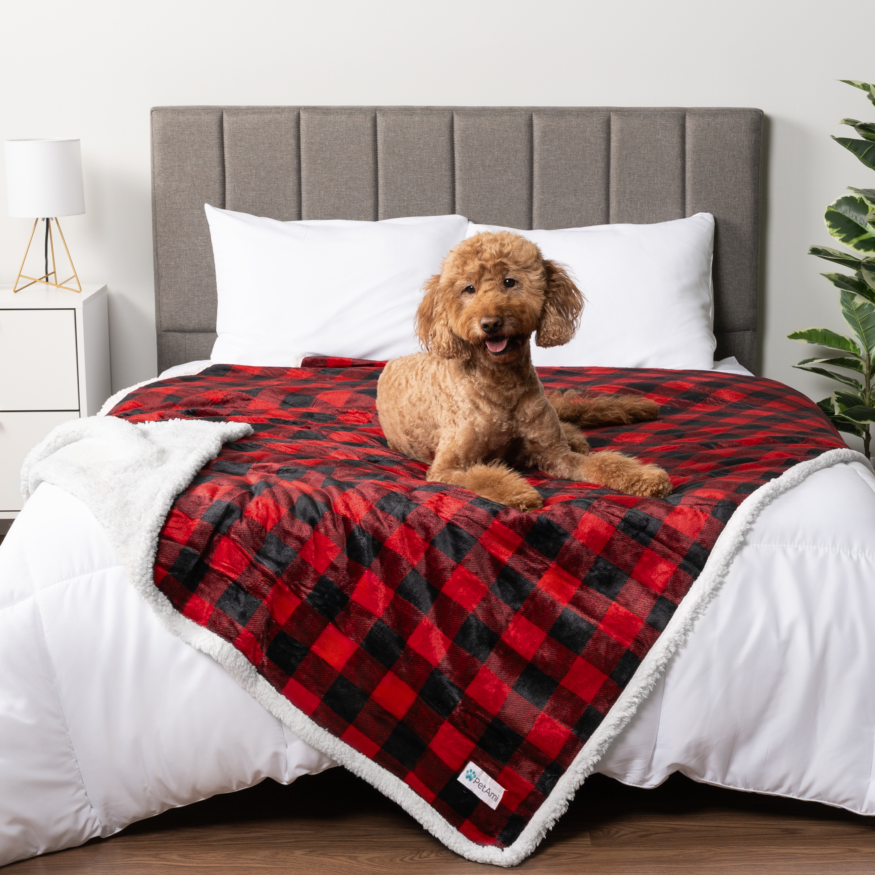 WASSERDICHTE Hundedecke für Haustierbett Couch Möbel Welpe Katze Sherpa Fleece weich - Bild 45 von 146