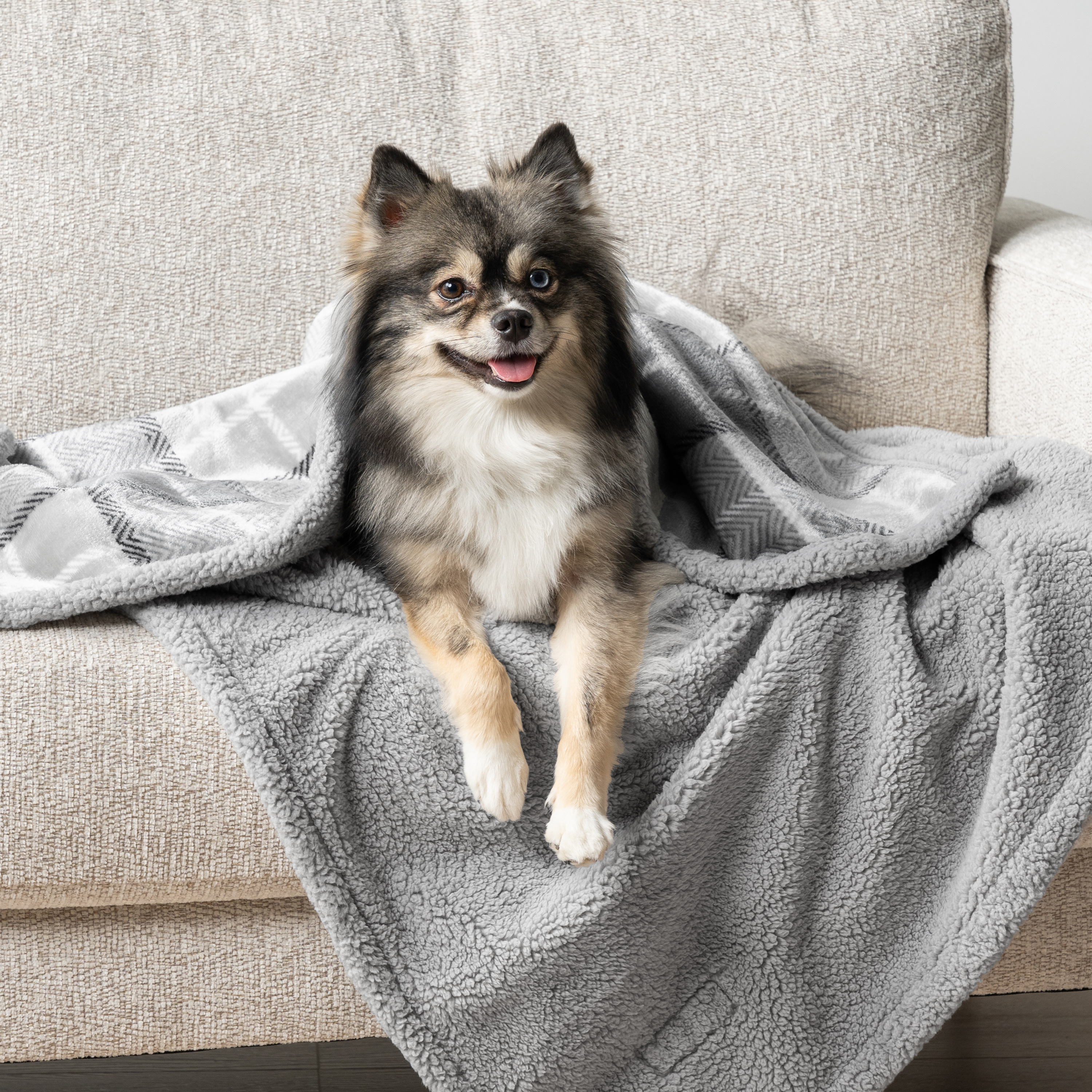 WASSERDICHTE Hundedecke für Haustierbett Couch Möbel Welpe Katze Sherpa Fleece weich - Bild 98 von 146