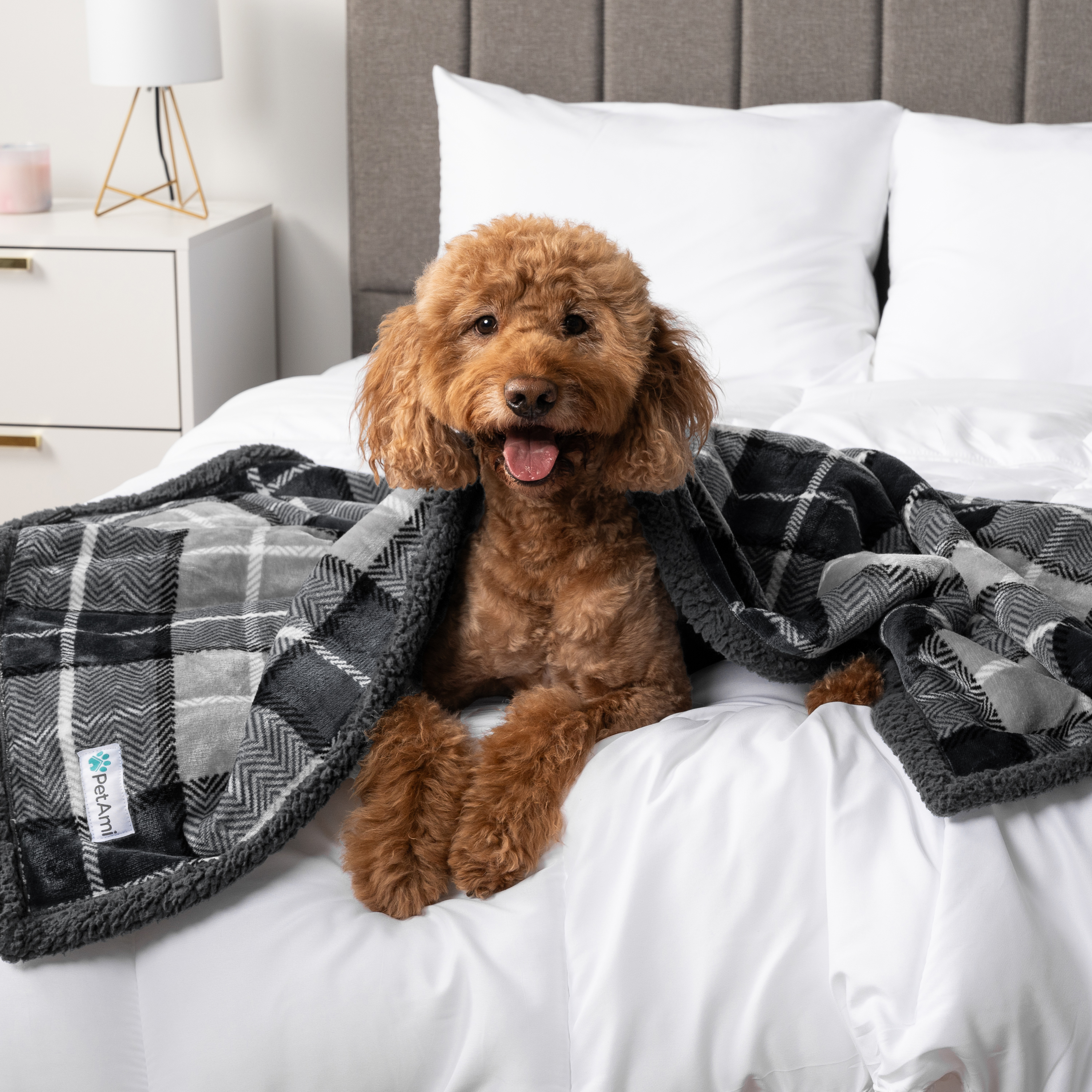 WASSERDICHTE Hundedecke für Haustierbett Couch Möbel Welpe Katze Sherpa Fleece weich - Bild 84 von 146