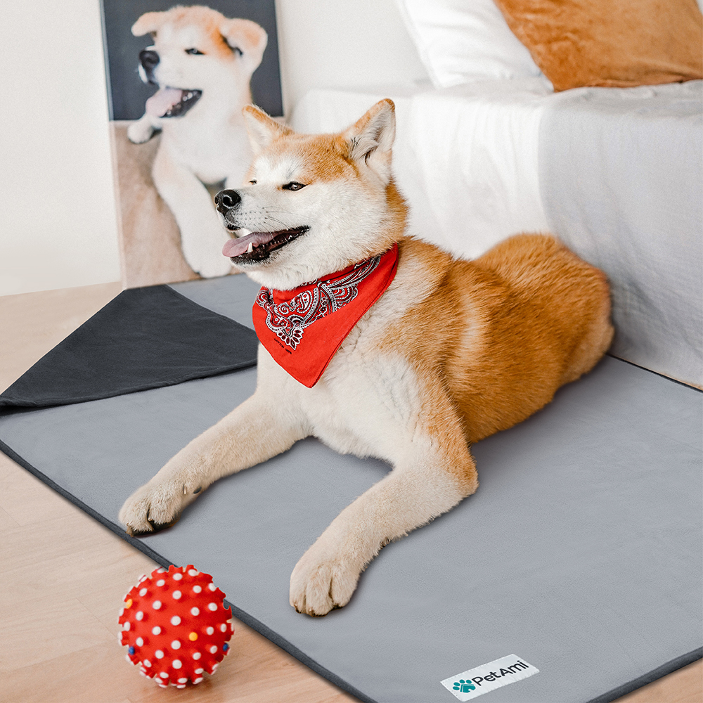 WATERPROOF Dog Blanket Pet Throw for Couch Protect Furniture S M L Dog Cat Puppy - Picture 15 of 45