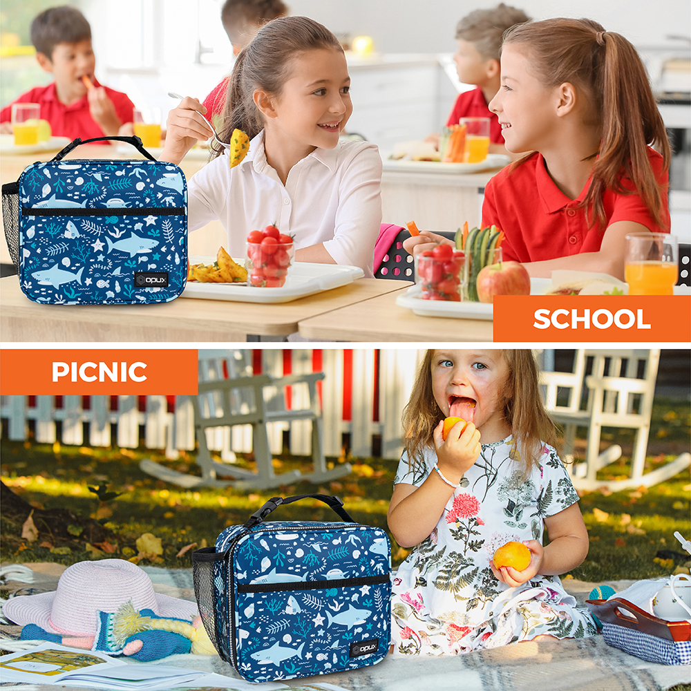 Insulated Lunch Bag Small Lunch Box For Work Office School Men Women Kids Bento - Picture 103 of 115
