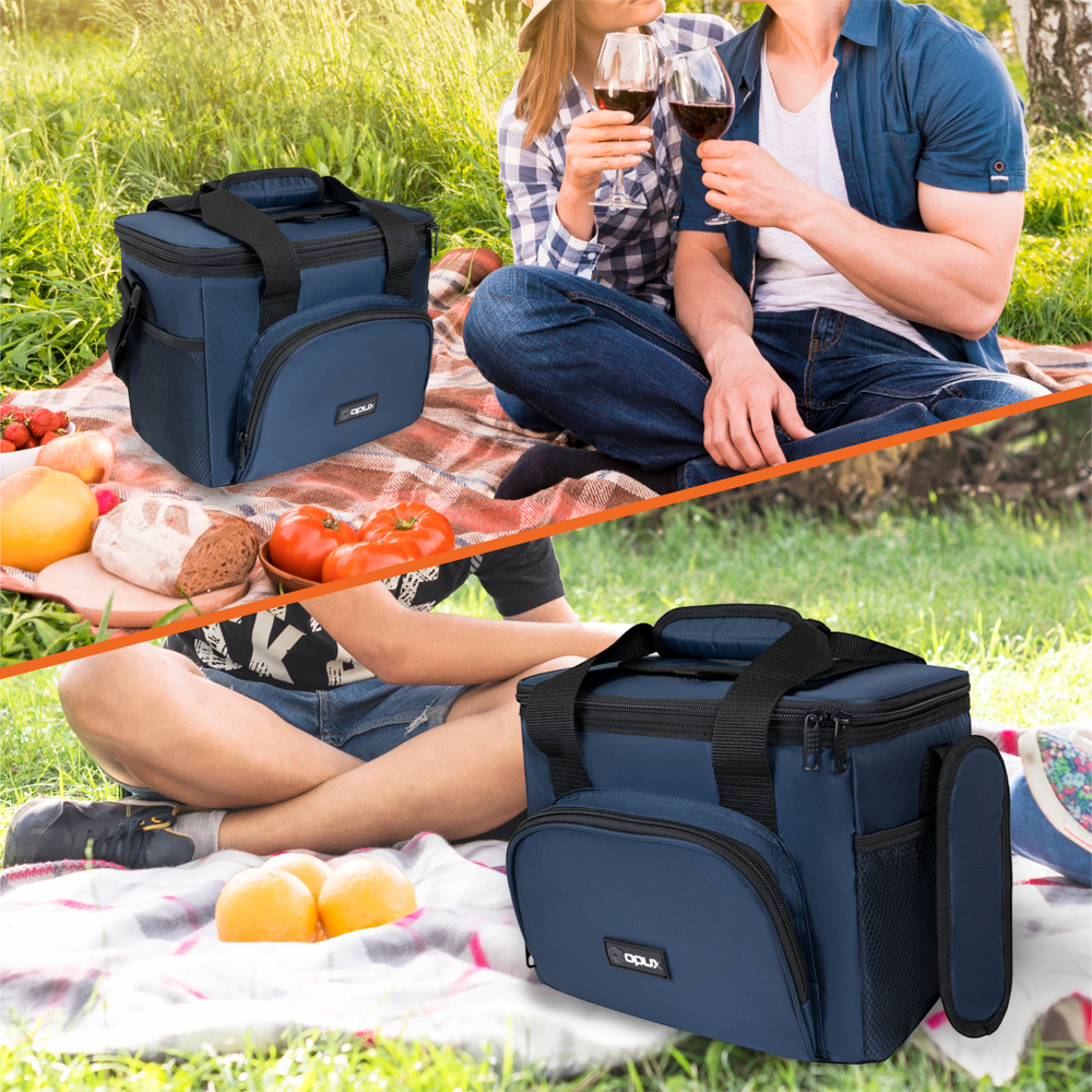 Large Insulated Lunch Bag Mini Cooler for Adults For Travel Women Men Leakproof - Picture 62 of 63