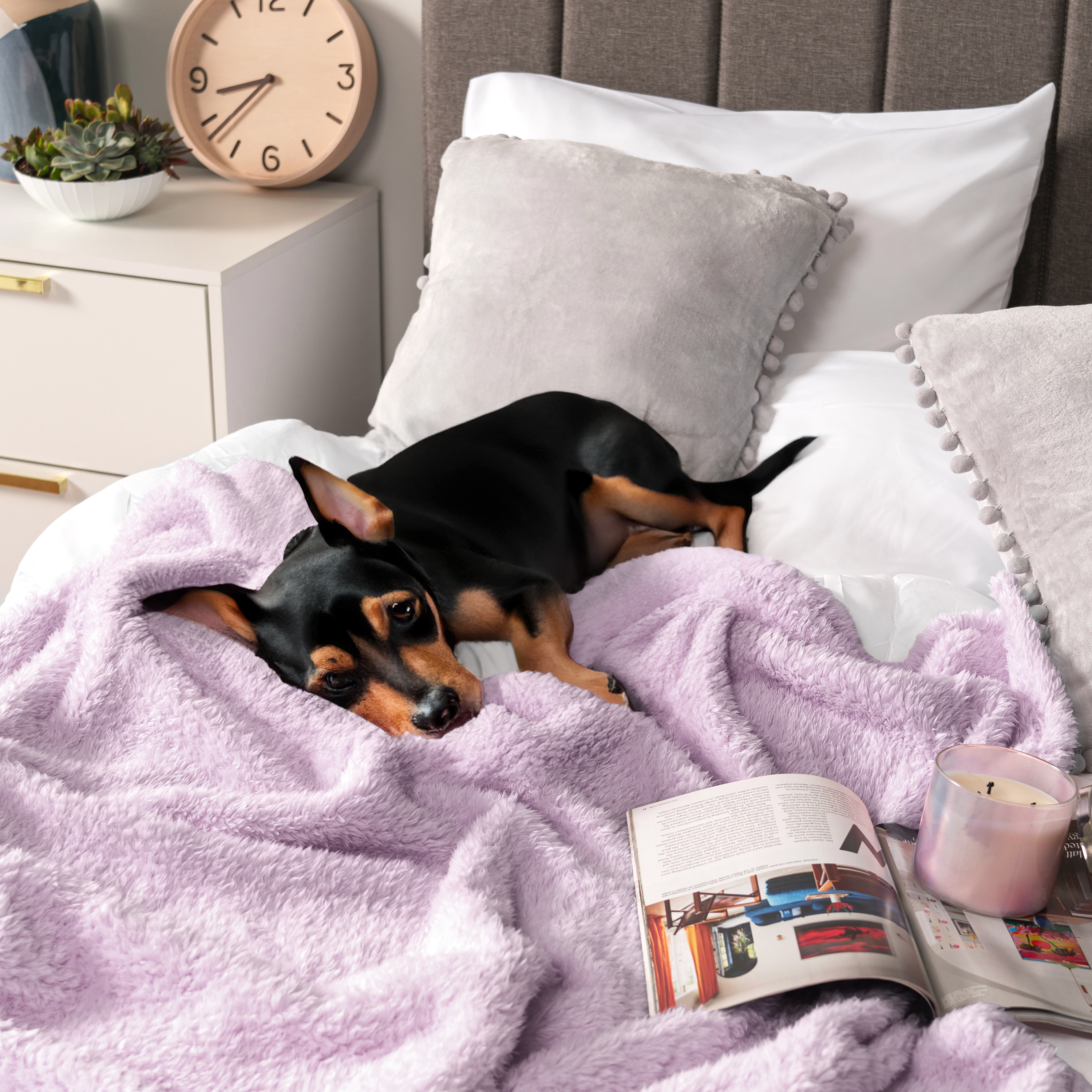 Super Soft Blanket Lightweight Sherpa Fleece Warm Fluffy Throws Couch Sofa Bed - Picture 88 of 169