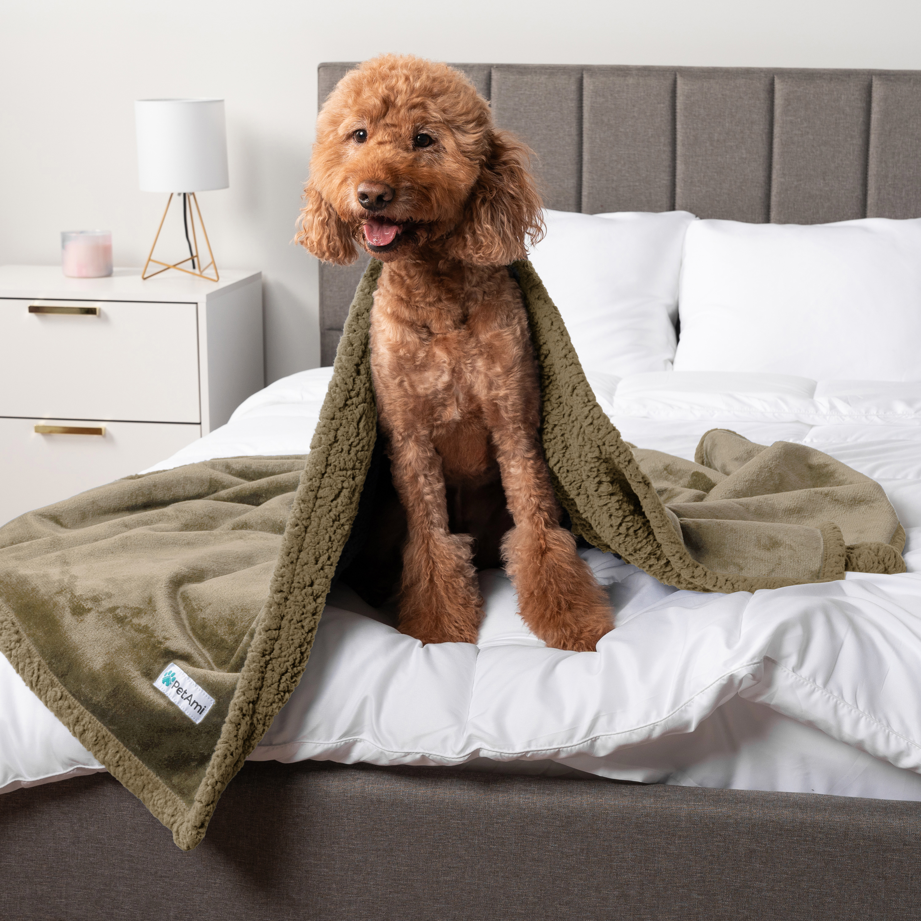 WASSERDICHTE Hundedecke für Haustierbett Couch Möbel Welpe Katze Sherpa Fleece weich - Bild 132 von 146