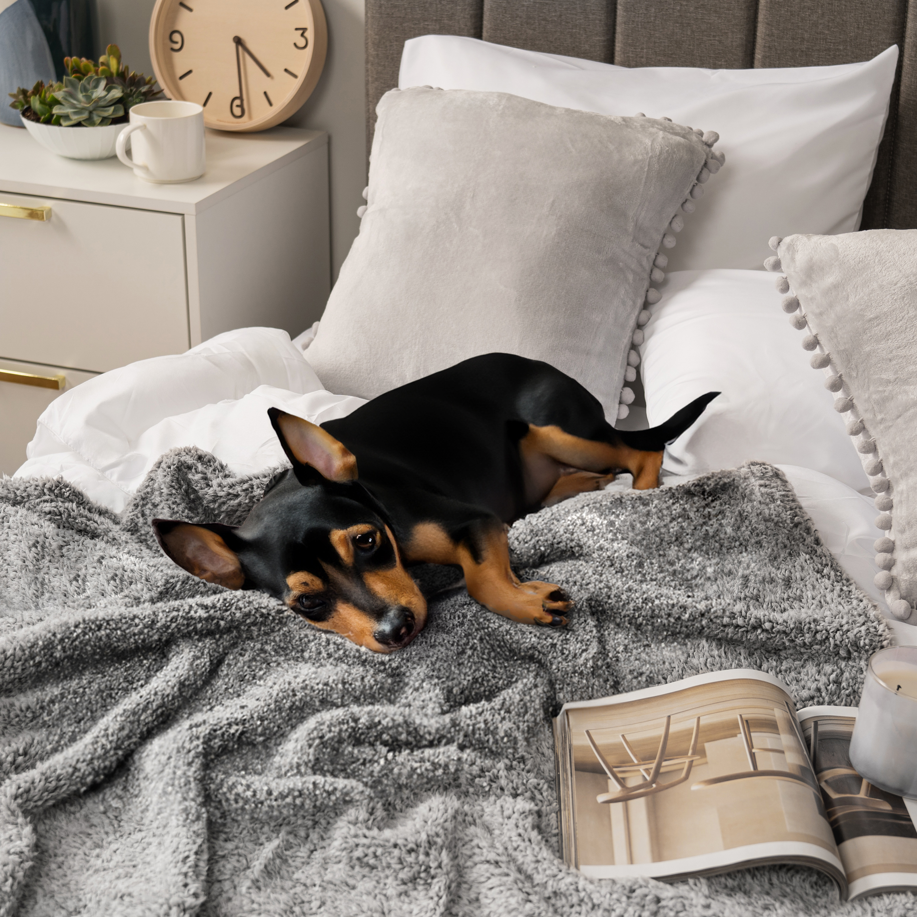 Super Soft Blanket Lightweight Sherpa Fleece Warm Fluffy Throws Couch Sofa Bed - Picture 71 of 169