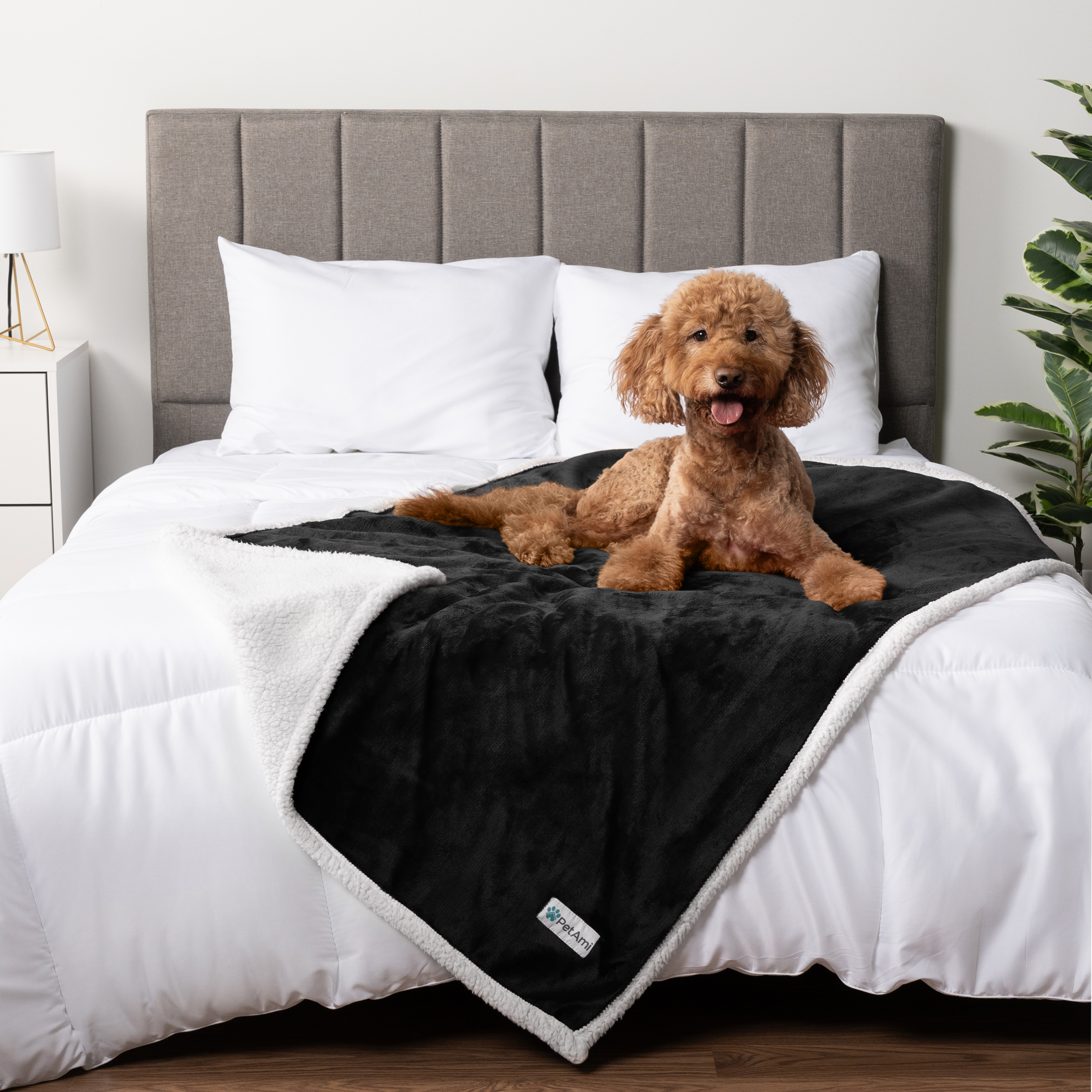 WASSERDICHTE Hundedecke für Haustierbett Couch Möbel Welpe Katze Sherpa Fleece weich - Bild 5 von 146