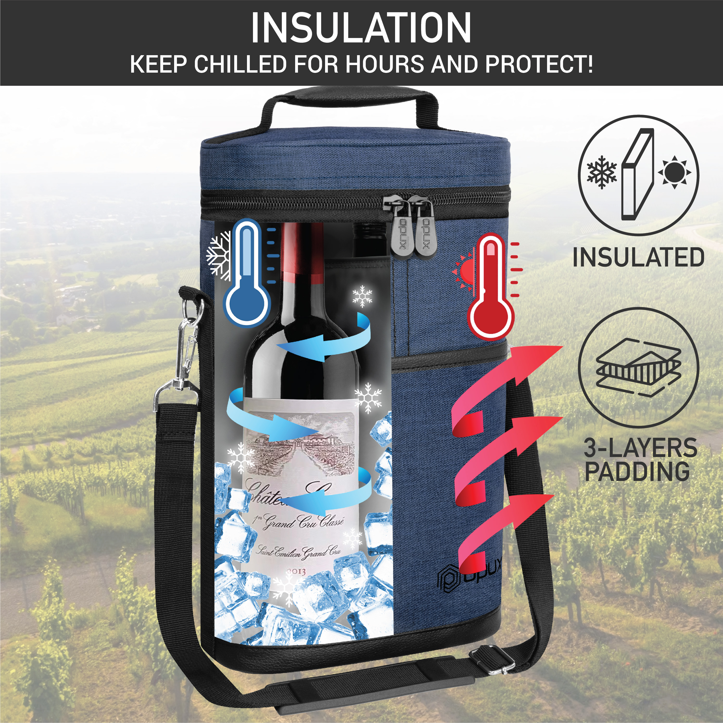 Insulated Wine Carrier Tote Bag Two 2 Bottle Padded Cooler Bag Travel Protection - Picture 53 of 85