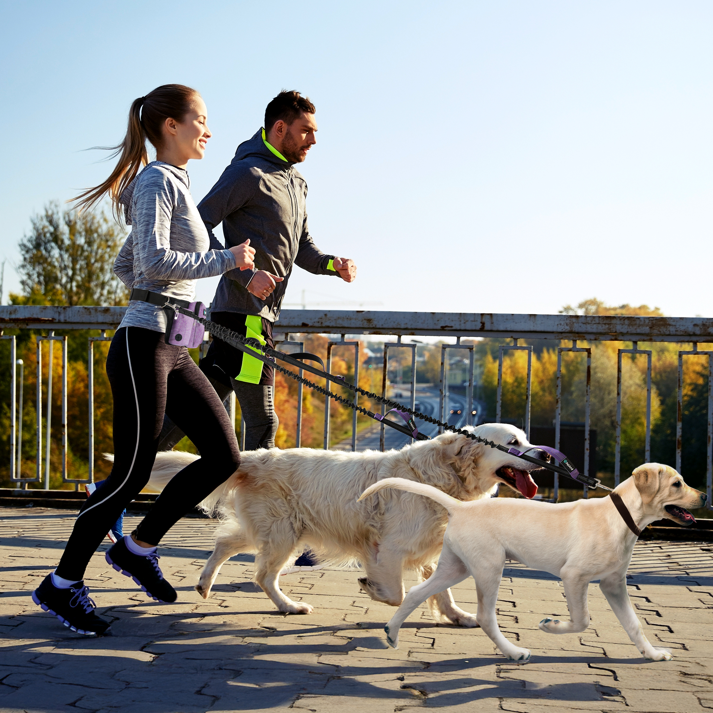 Hands Free Dog Bungee Leash Adjustable Waist Pouch for 2 Dogs Walking Running - Picture 24 of 25