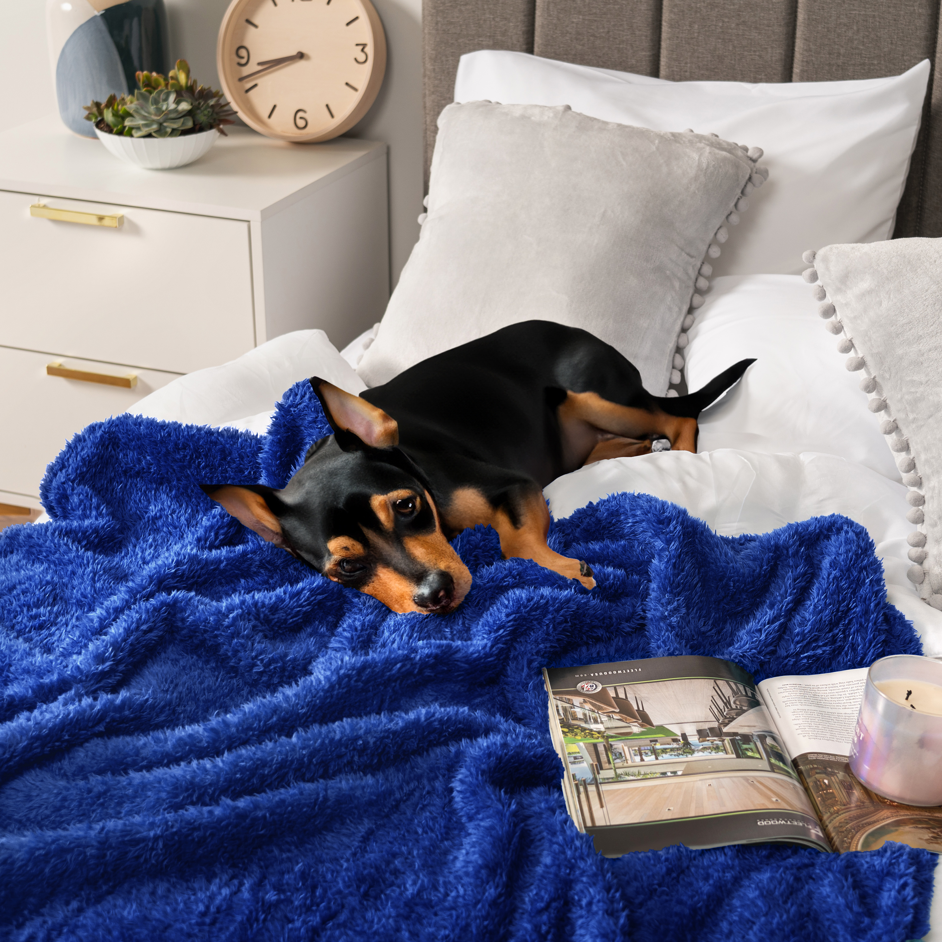 Super Soft Blanket Lightweight Sherpa Fleece Warm Fluffy Throws Couch Sofa Bed - Picture 17 of 169