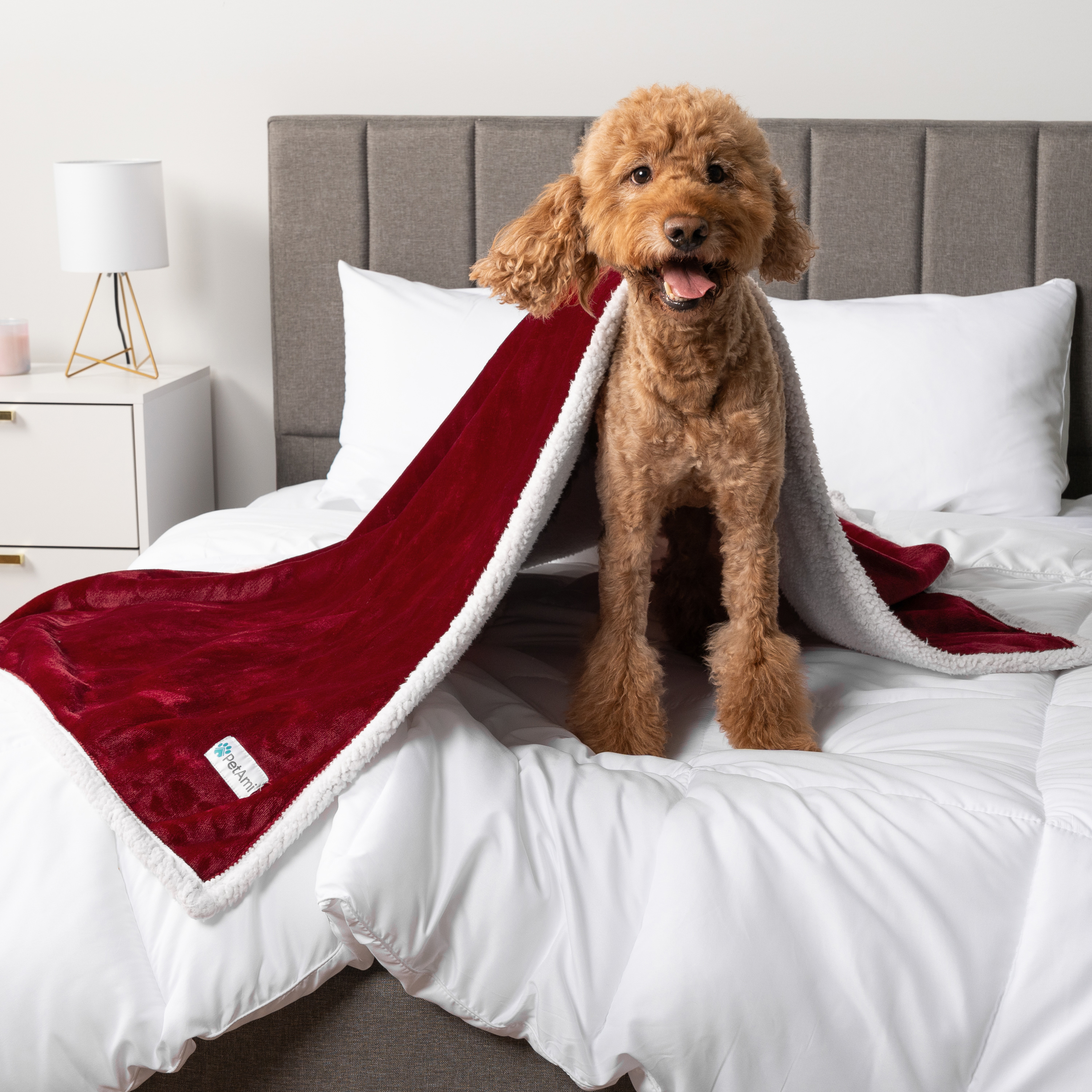 WASSERDICHTE Hundedecke für Haustierbett Couch Möbel Welpe Katze Sherpa Fleece weich - Bild 143 von 146