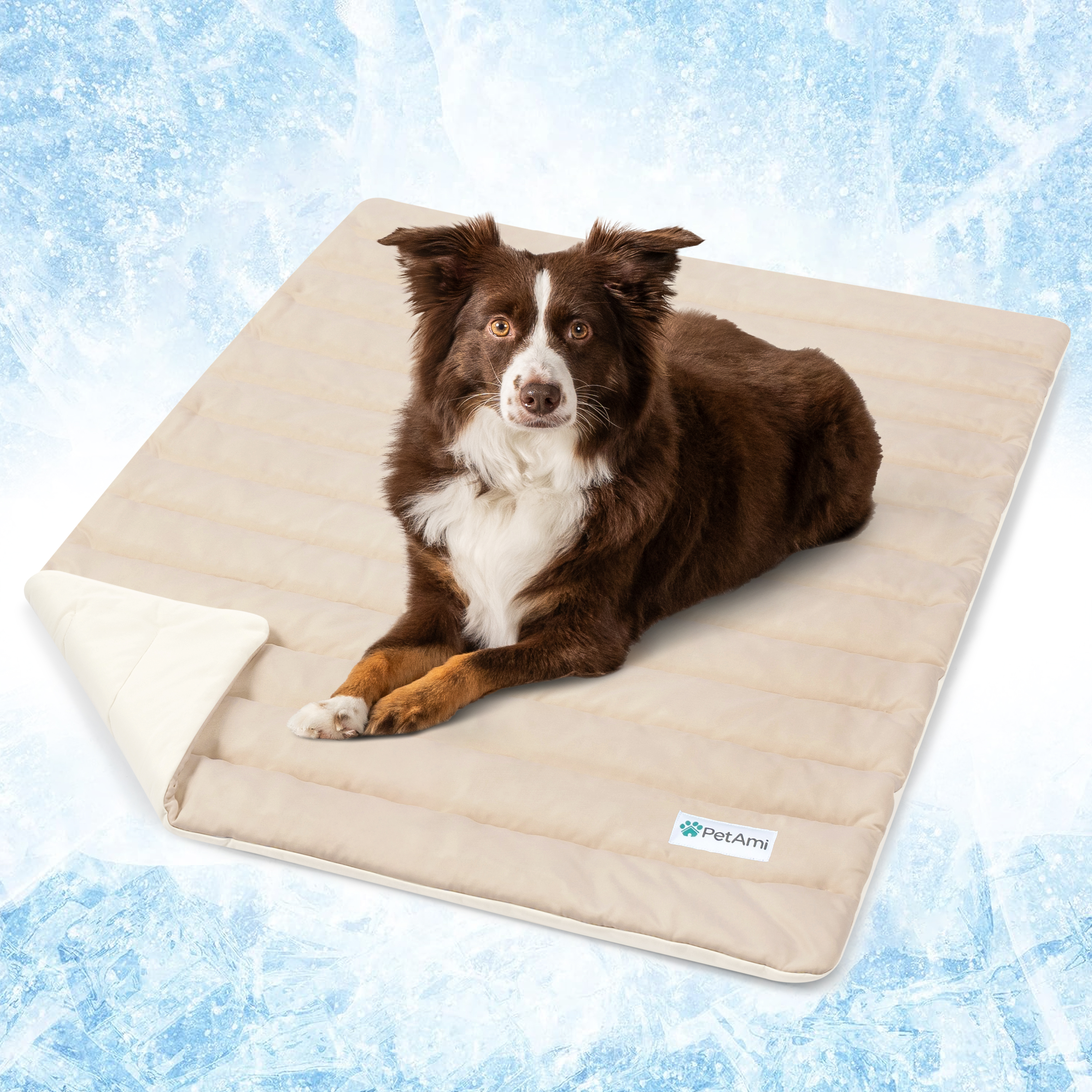Haustier Kühlmatte Cool Pad Bequemes Kissen Bett Decke für Hund Katze Welpe - Bild 46 von 49