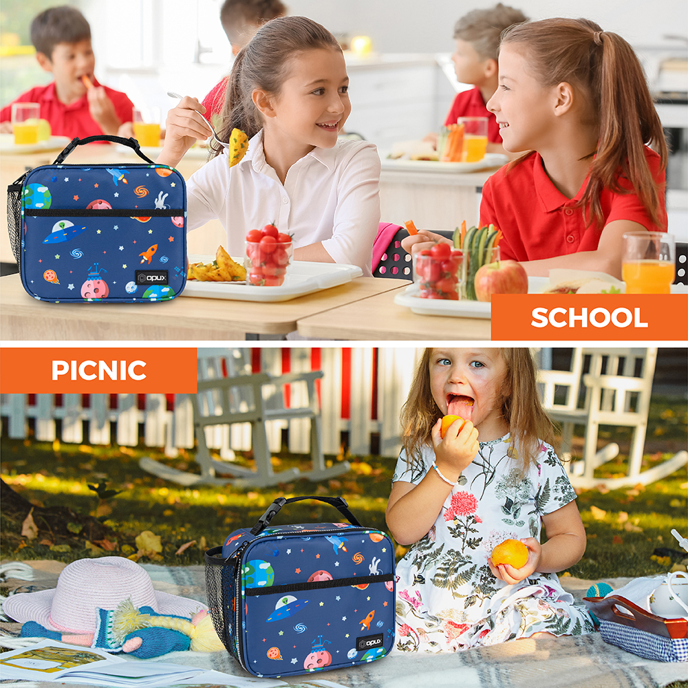 Insulated Lunch Bag Small Lunch Box For Work Office School Men Women Kids Bento - Picture 109 of 115