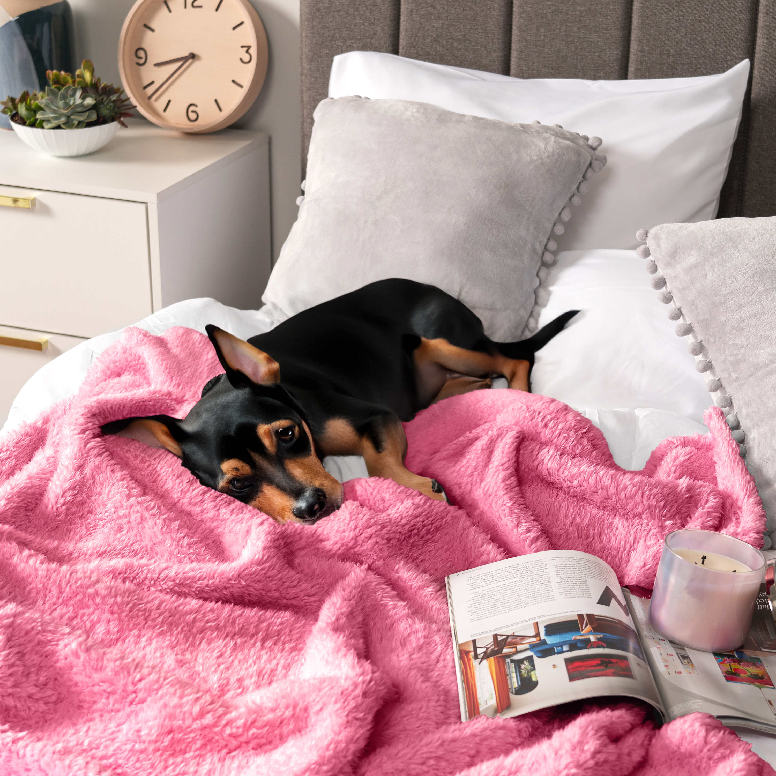 Super Soft Blanket Lightweight Sherpa Fleece Warm Fluffy Throws Couch Sofa Bed - Picture 123 of 169