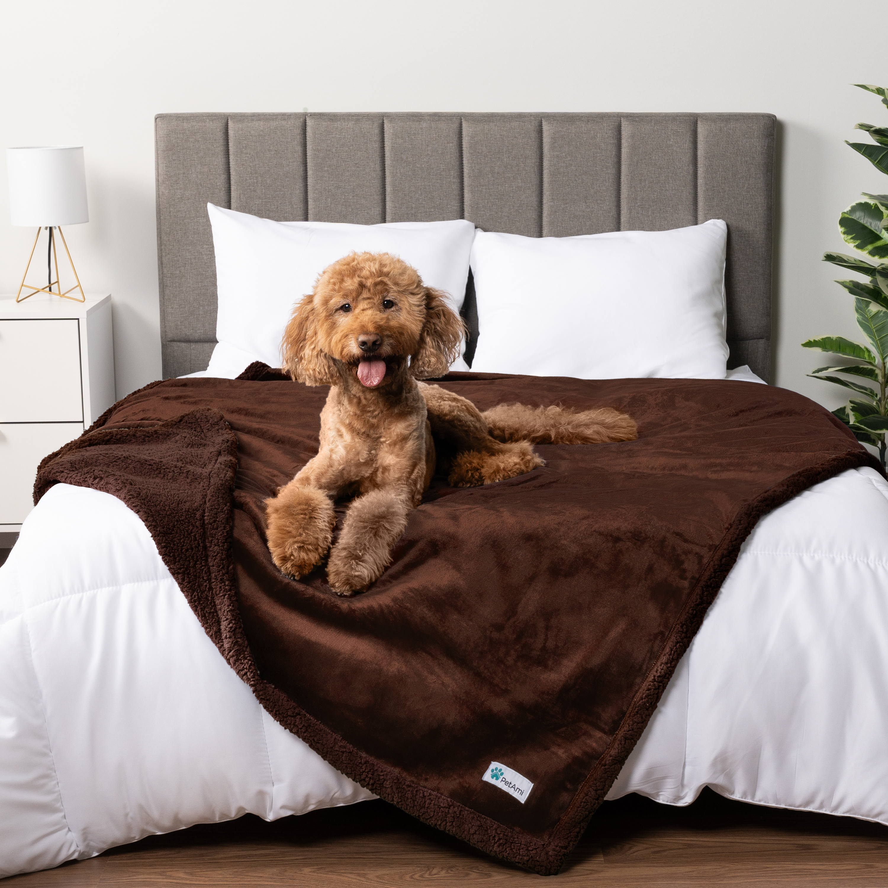 WASSERDICHTE Hundedecke für Haustierbett Couch Möbel Welpe Katze Sherpa Fleece weich - Bild 27 von 146