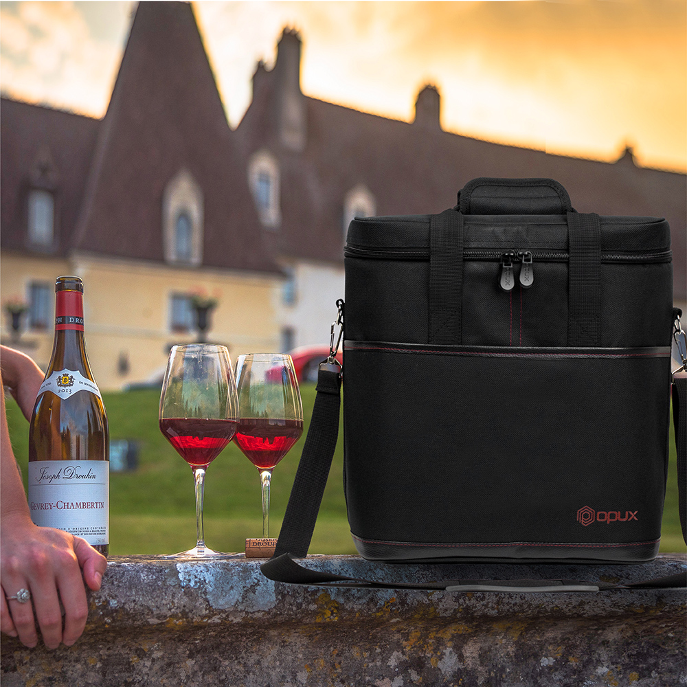 Insulated Wine Carrier Tote Bag 6 Bottle Padded Carry ...