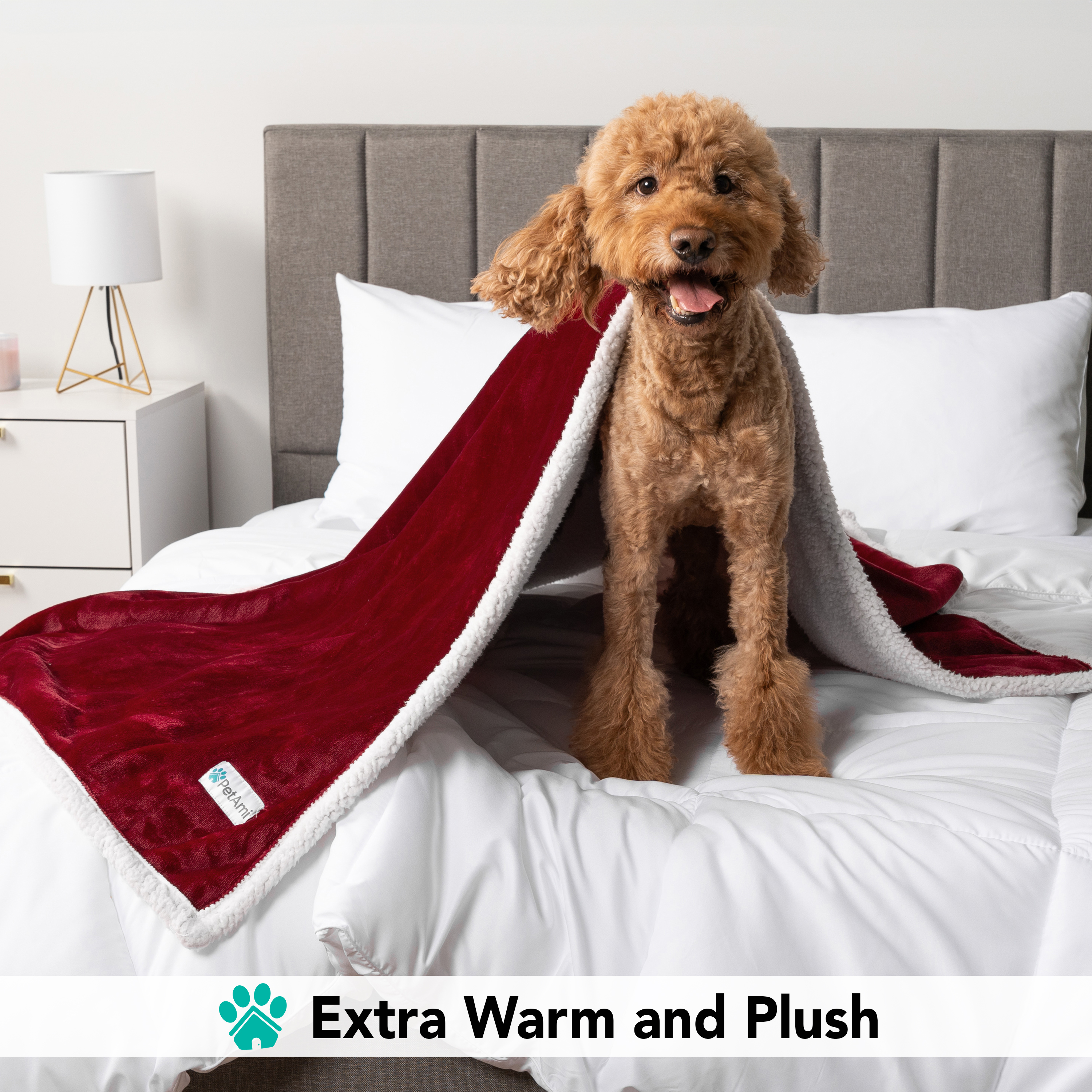 Haustierdecke für kleine mittelgroße Hunde Welpen Katze Kätzchen wendbar weiches Fleece Sherpa - Bild 65 von 70
